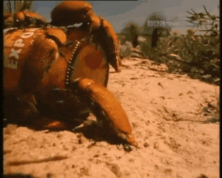 a5b65a484176486398f8022c4f1d10f0.gif