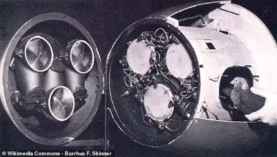 f58fa25e-ccc9-4aeb-9ae6-3475e108905c.png