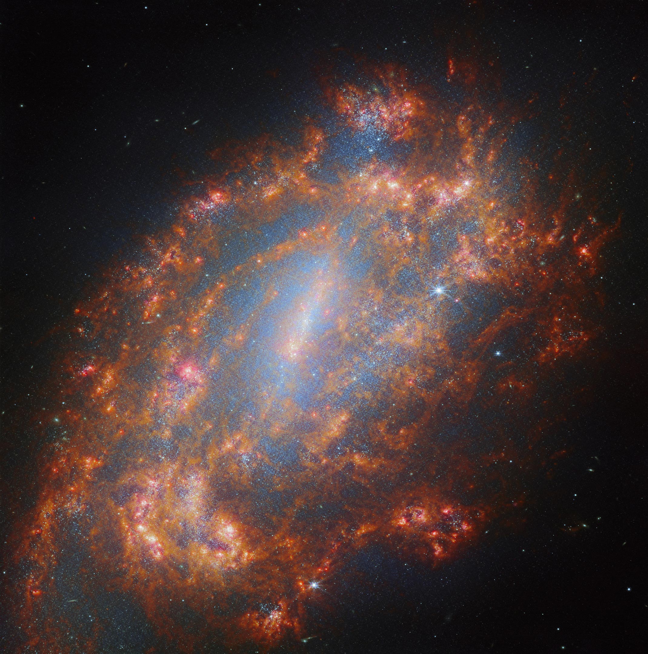 Galaxy-NGC-1559-Webb.jpg