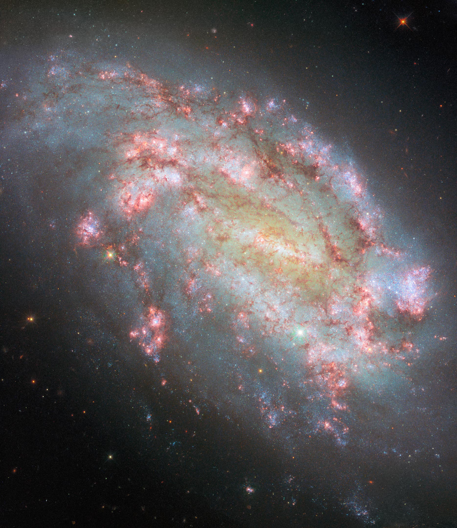 Galaxy-NGC-1559.jpg