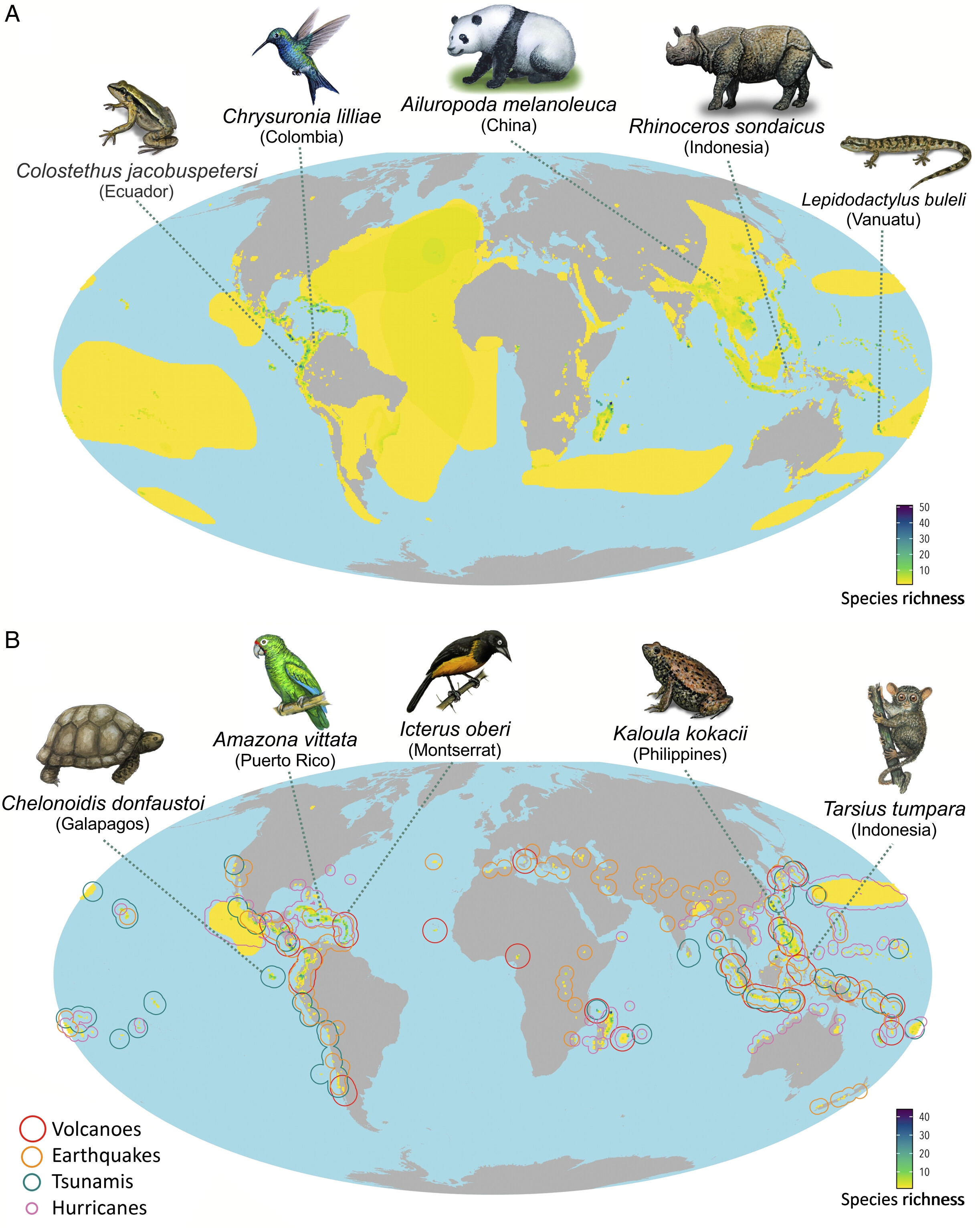 pnas.2321068121fig02.jpg