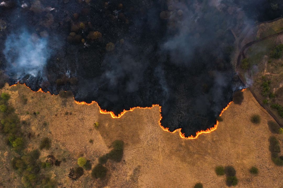 FireSat_aerial_image_of_a_controlled_burn.jpg