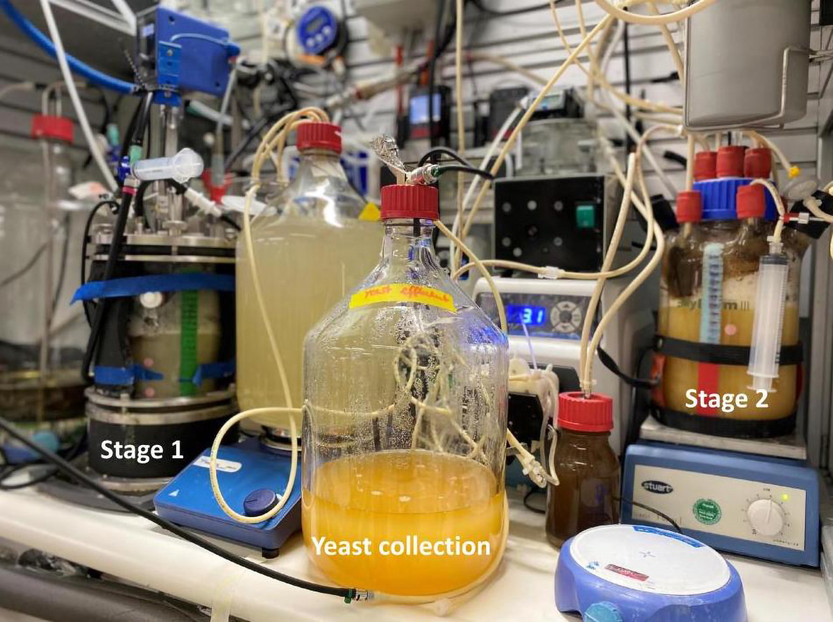 Microbes-Turn-CO2-Into-Protein-and-Vitamins.jpg