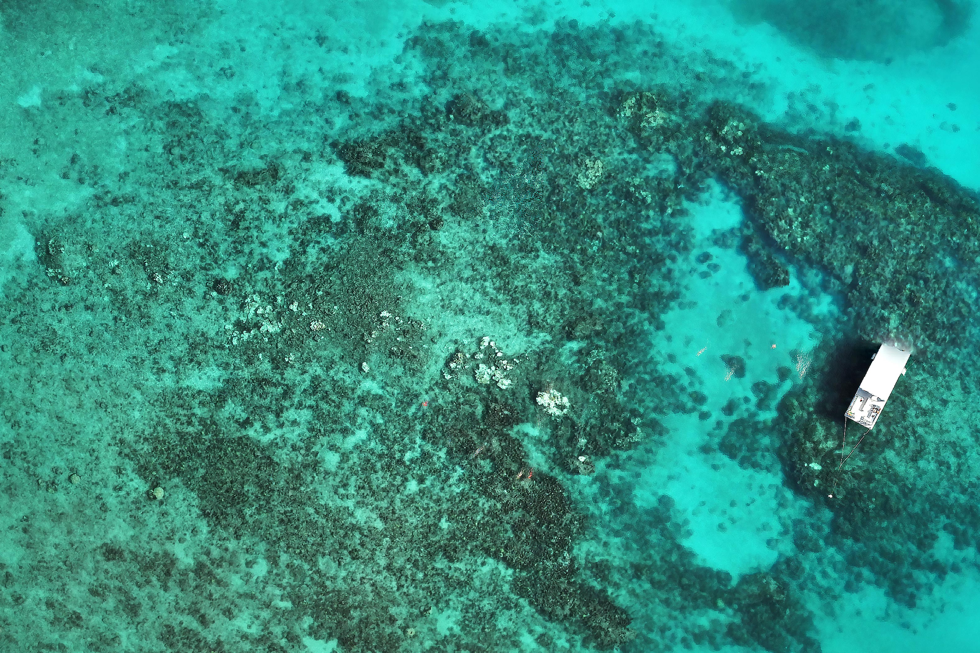 Florida-Horseshoe-Reef-August-2023.jpg