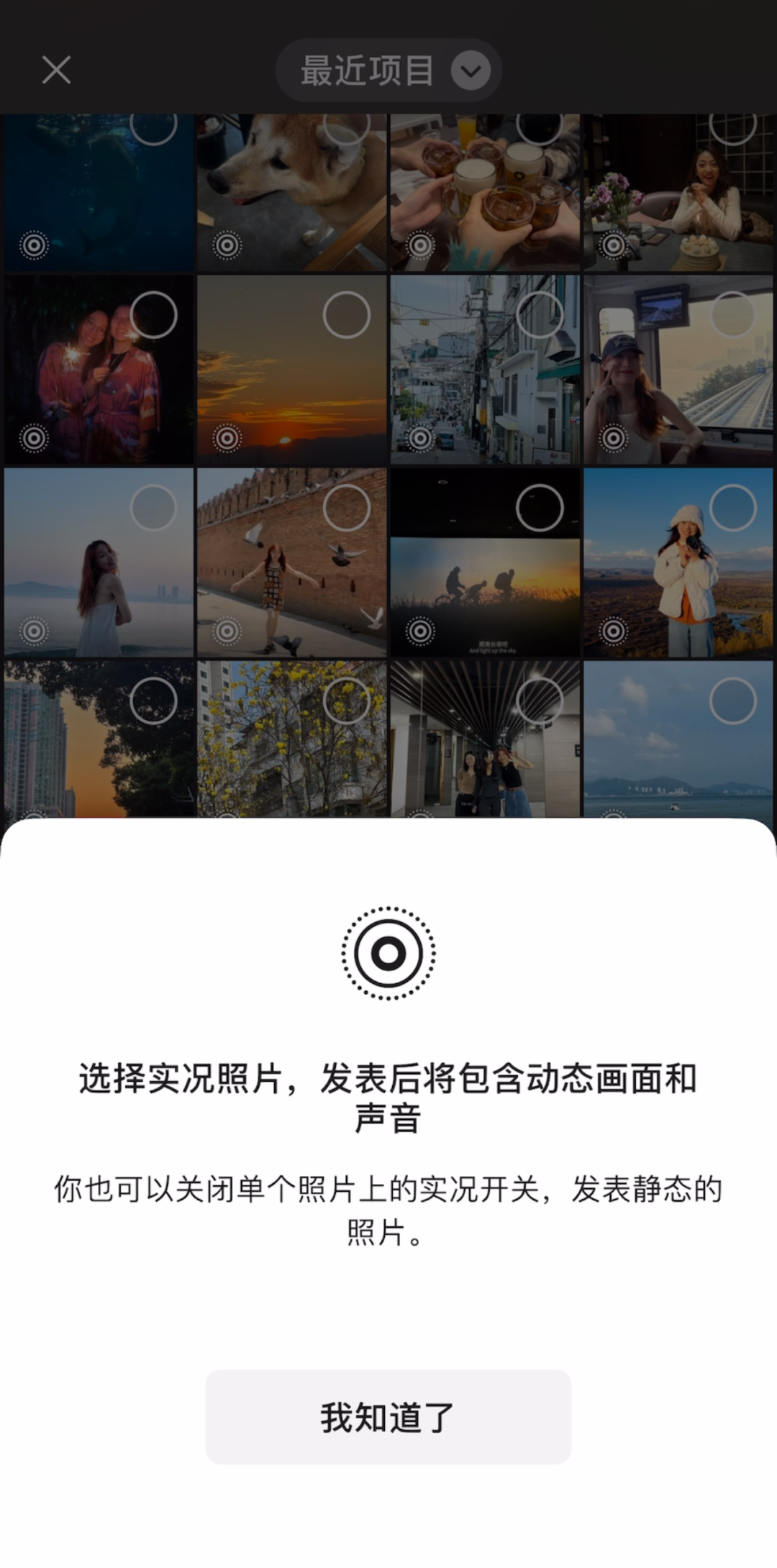 8d5bd499-c032-49e7-b602-3b681dd3c731.png
