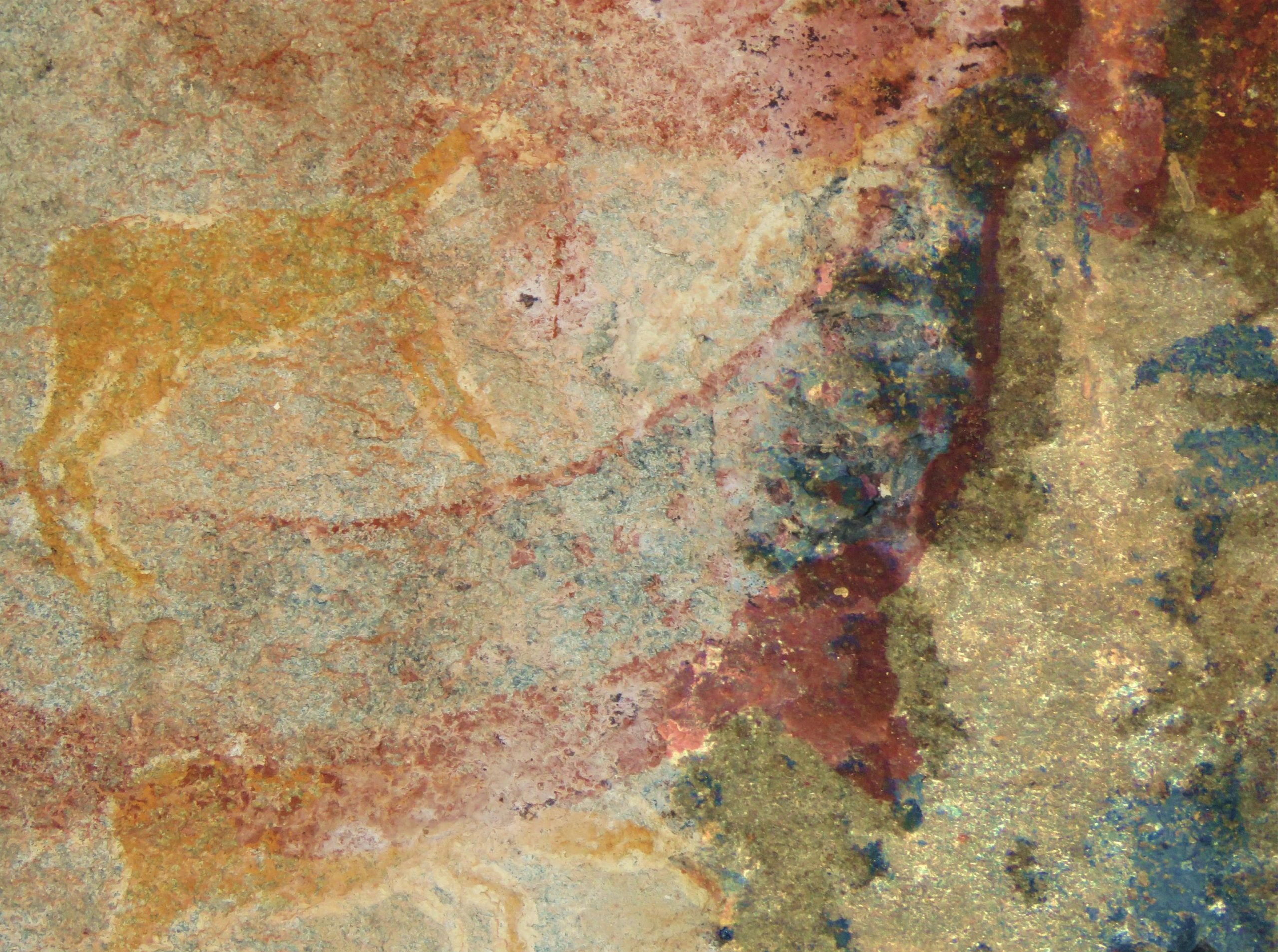 Stone-Age-Painting-of-a-Dicynodont-scaled.jpg