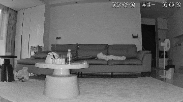 0b3659b4bedc4db9b9ffbb5fdd93905c.gif