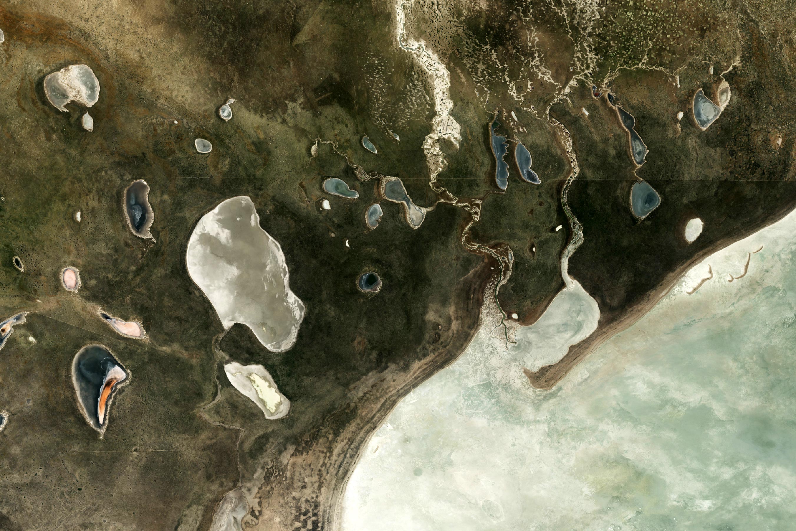 Etosha-National-Park-2024.jpg