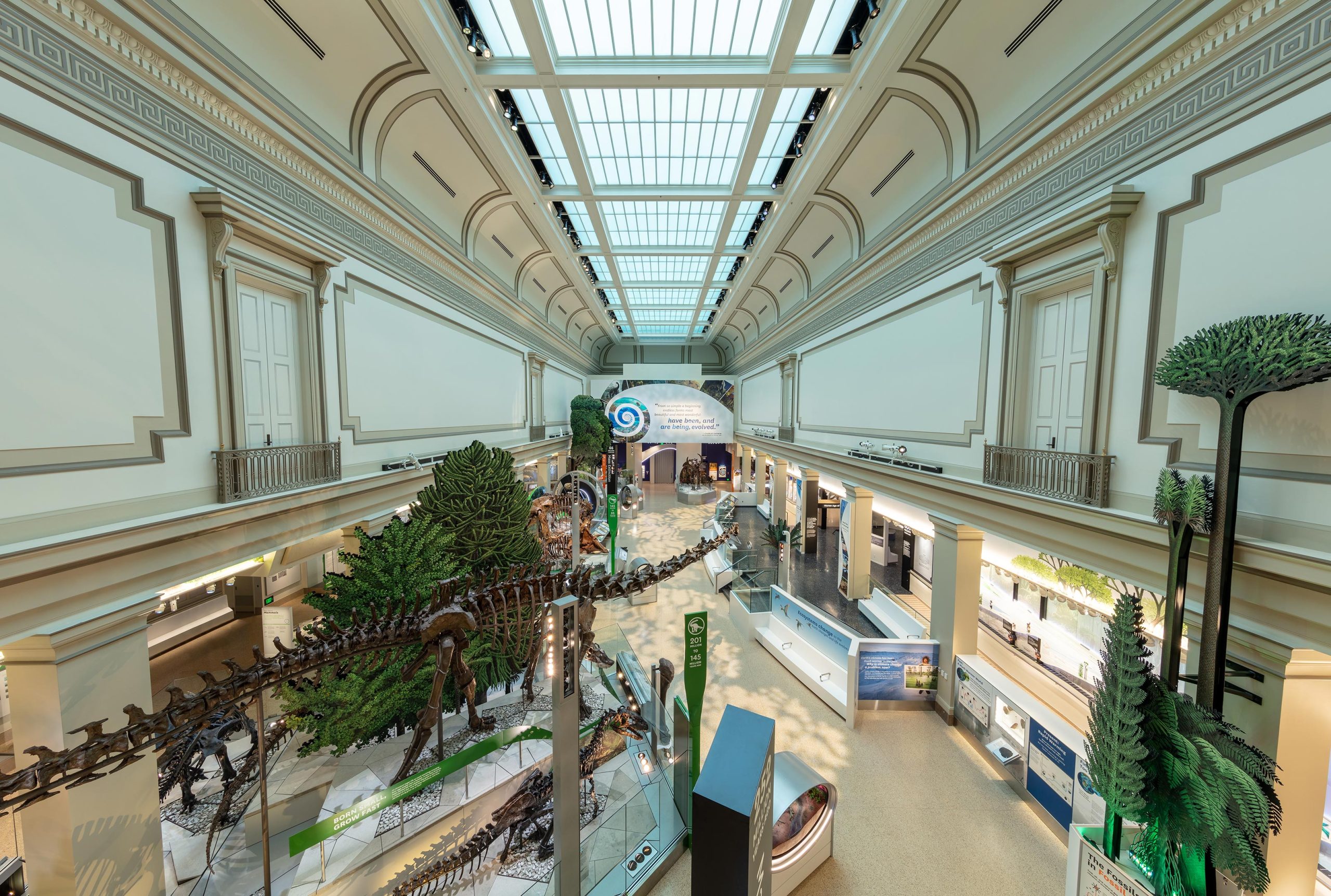David-Koch-Hall-of-Fossils-Deep-Time-scaled.jpg