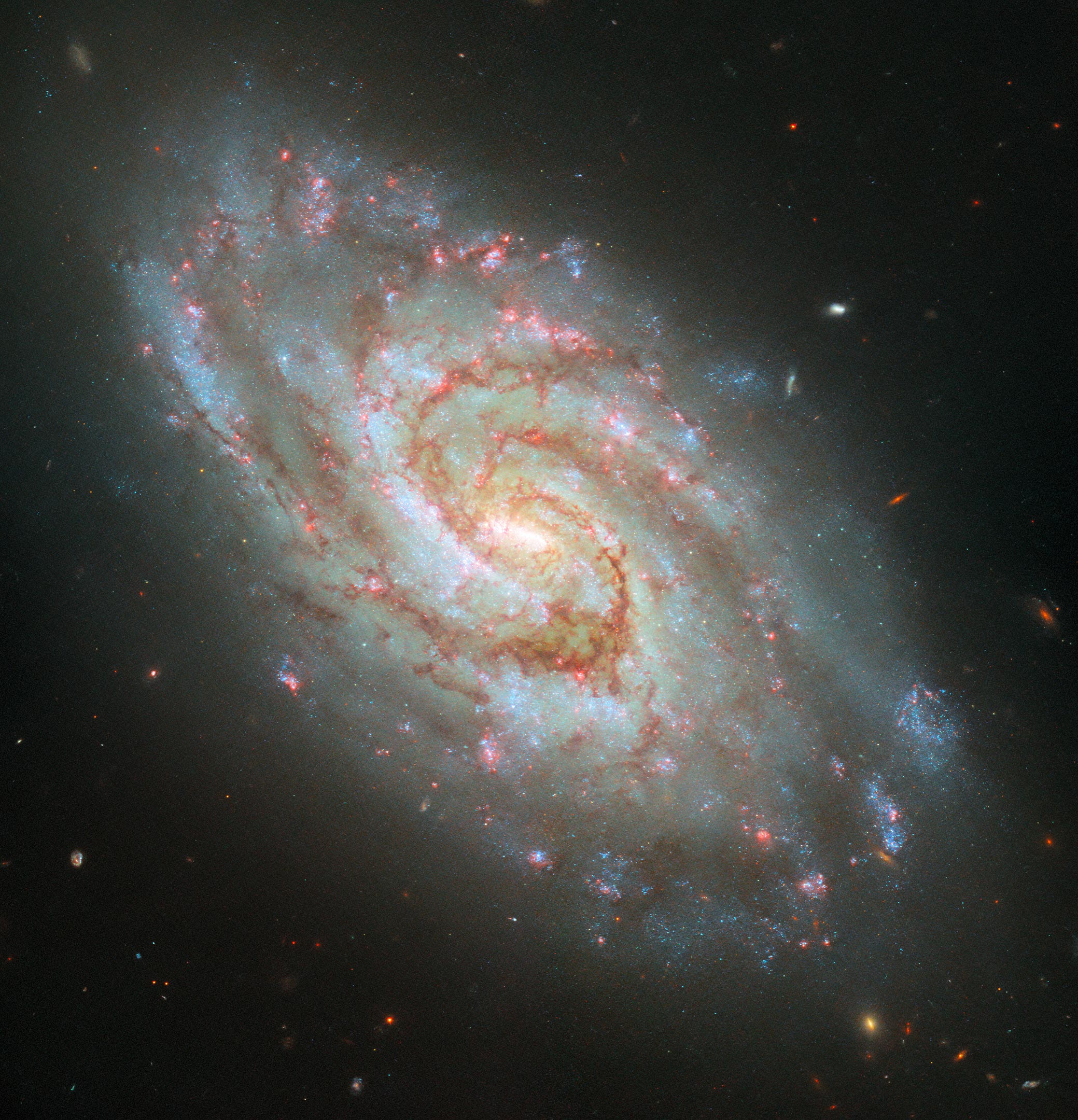 Spiral-Galaxy-IC-1954-Hubble.jpg