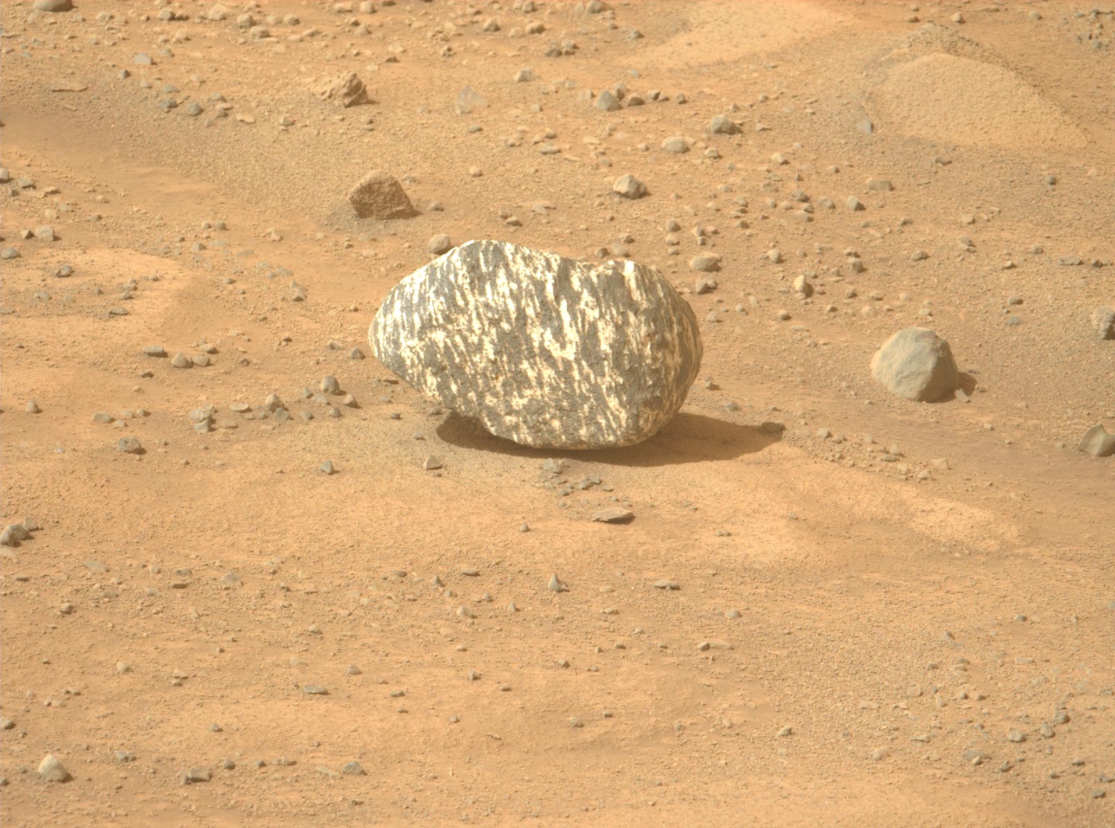 NASA-Mars-Perseverance-Rover-Striped-Rock.jpg