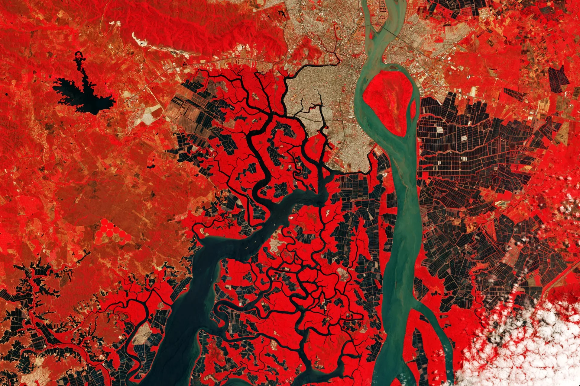 Guayas-Estuary-2024-False-Color.webp
