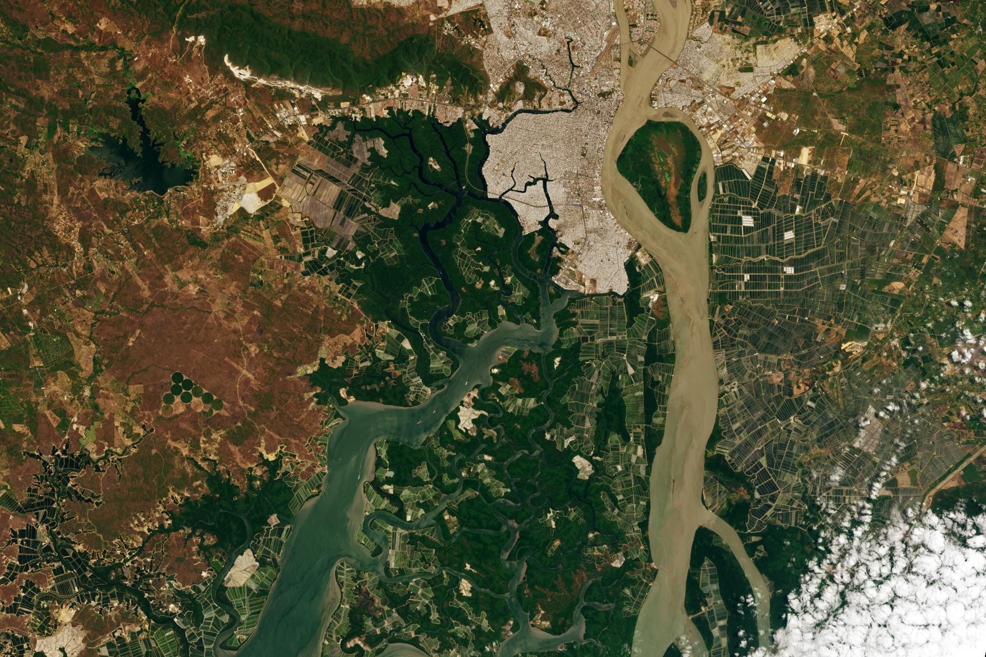 Guayas-Estuary-2024.jpg