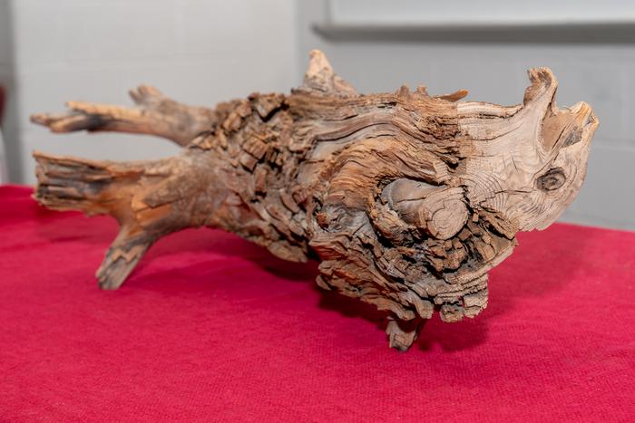 Low-Res_Zeng_Wood_Portrait_090924_UMD08489.jpg
