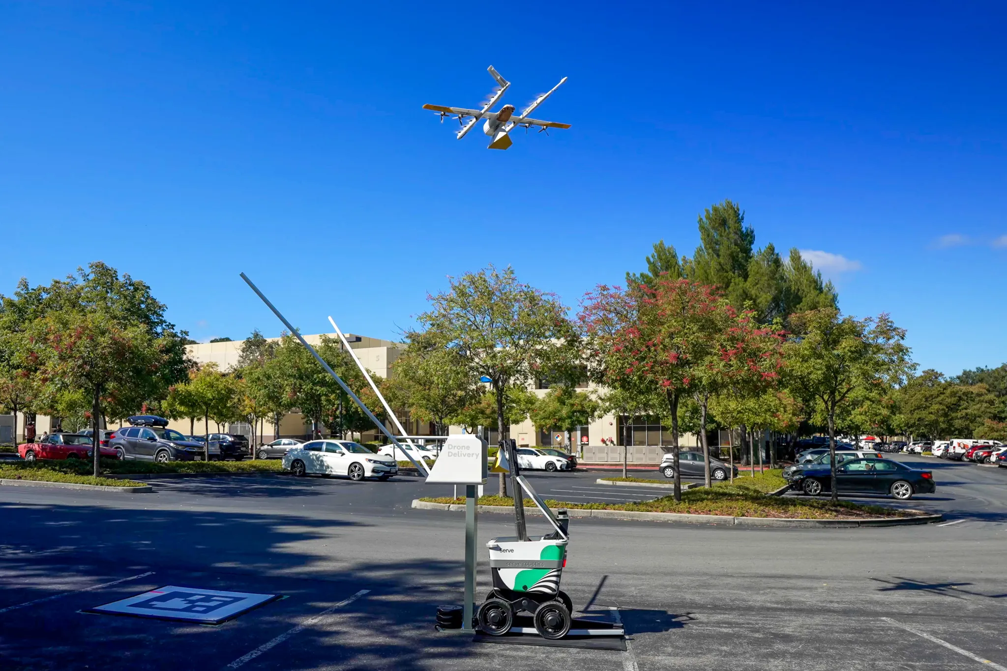 Wing_Serve_03b.webp