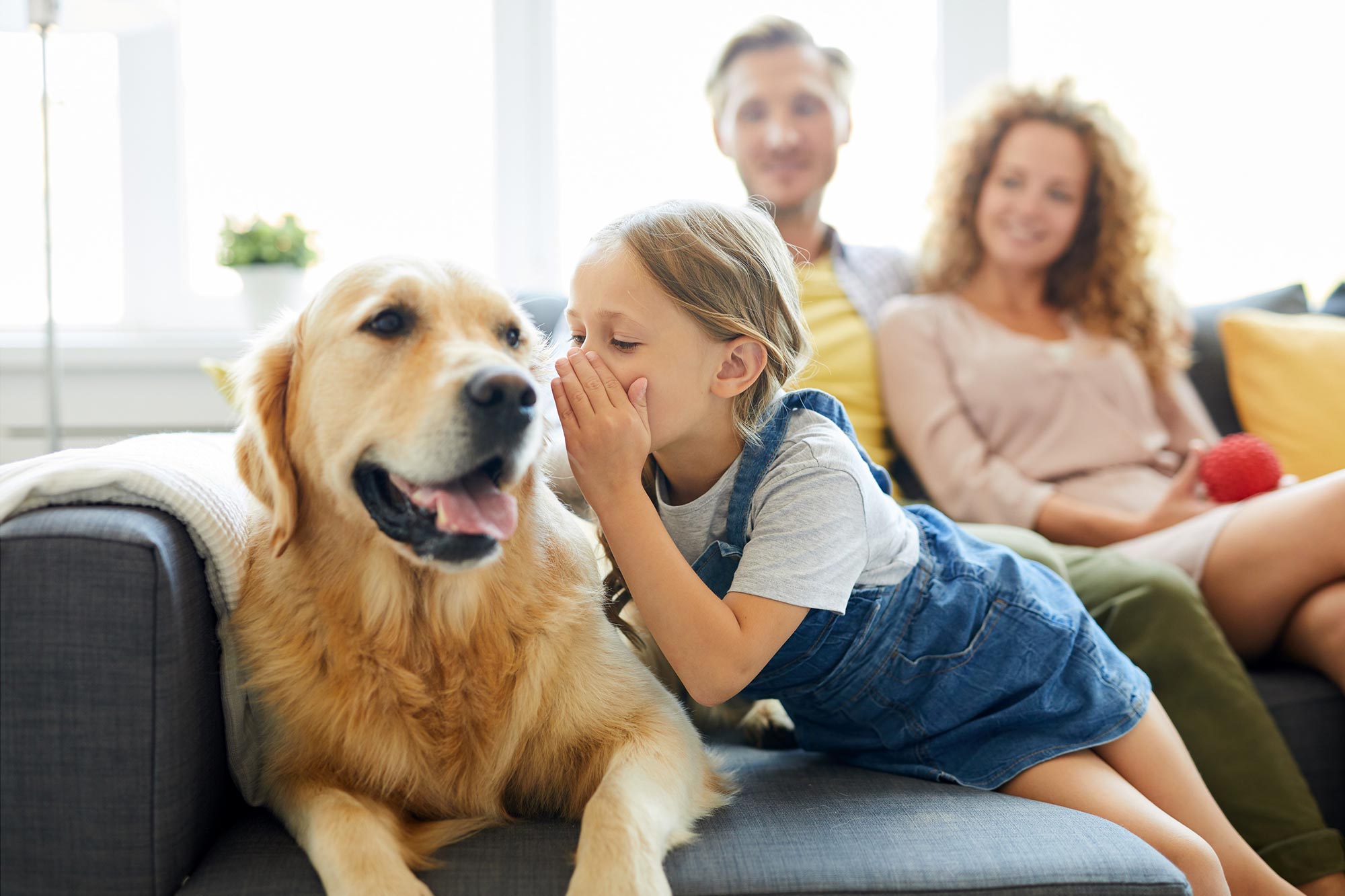 Talking-to-Pet-Dog.jpg