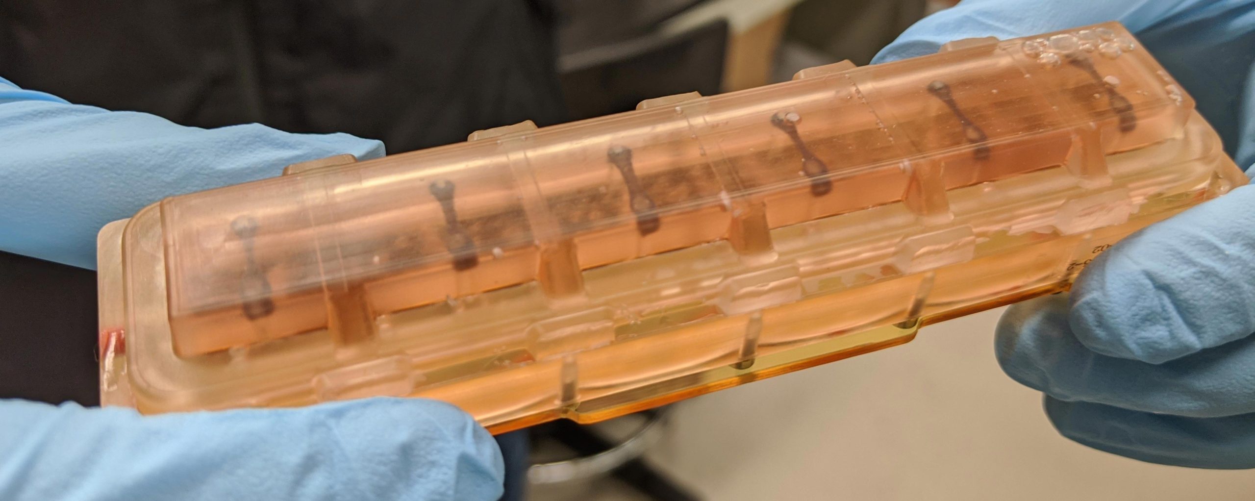 Heart-Tissues-ISS-Experiment-scaled.jpg