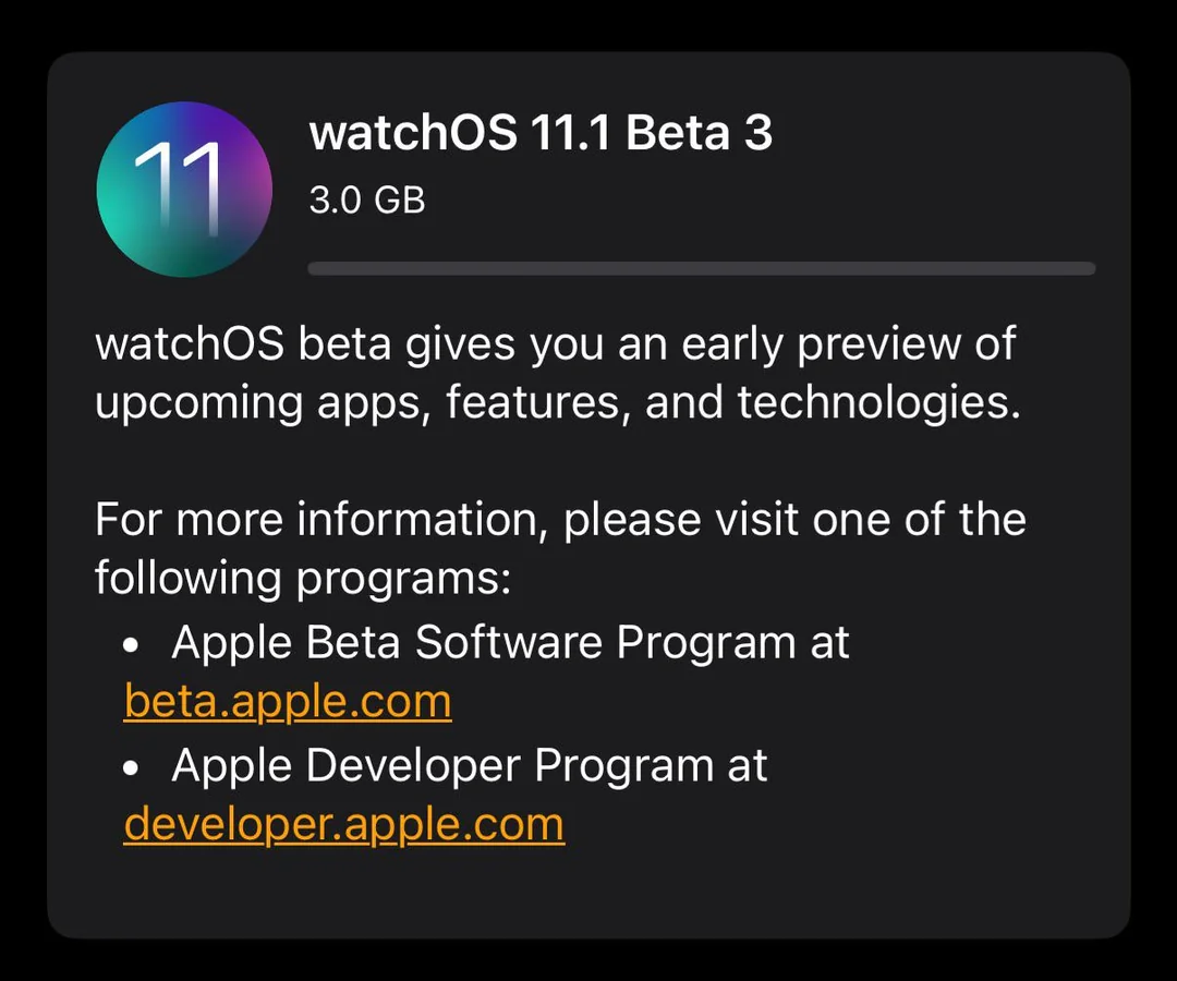 watchos-11-1-beta-3-is-out-v0-nw6qeso0g7sd1.webp