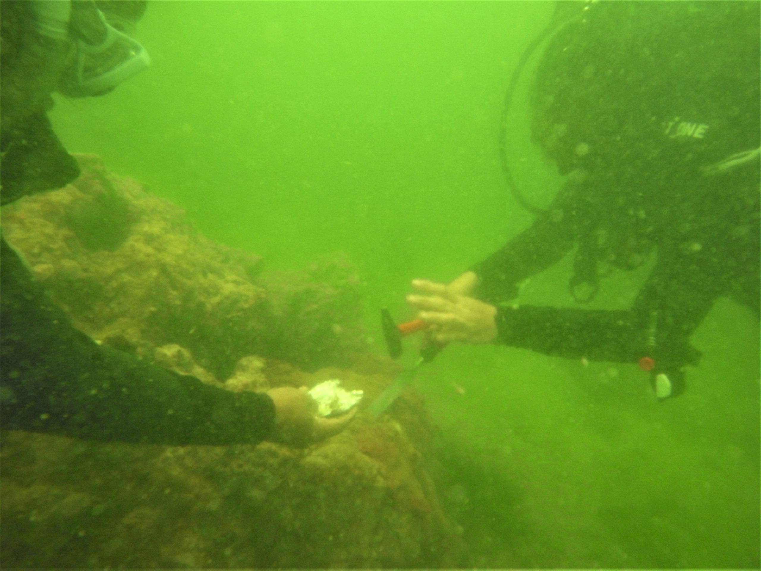 Coral-Sampling-scaled.jpg