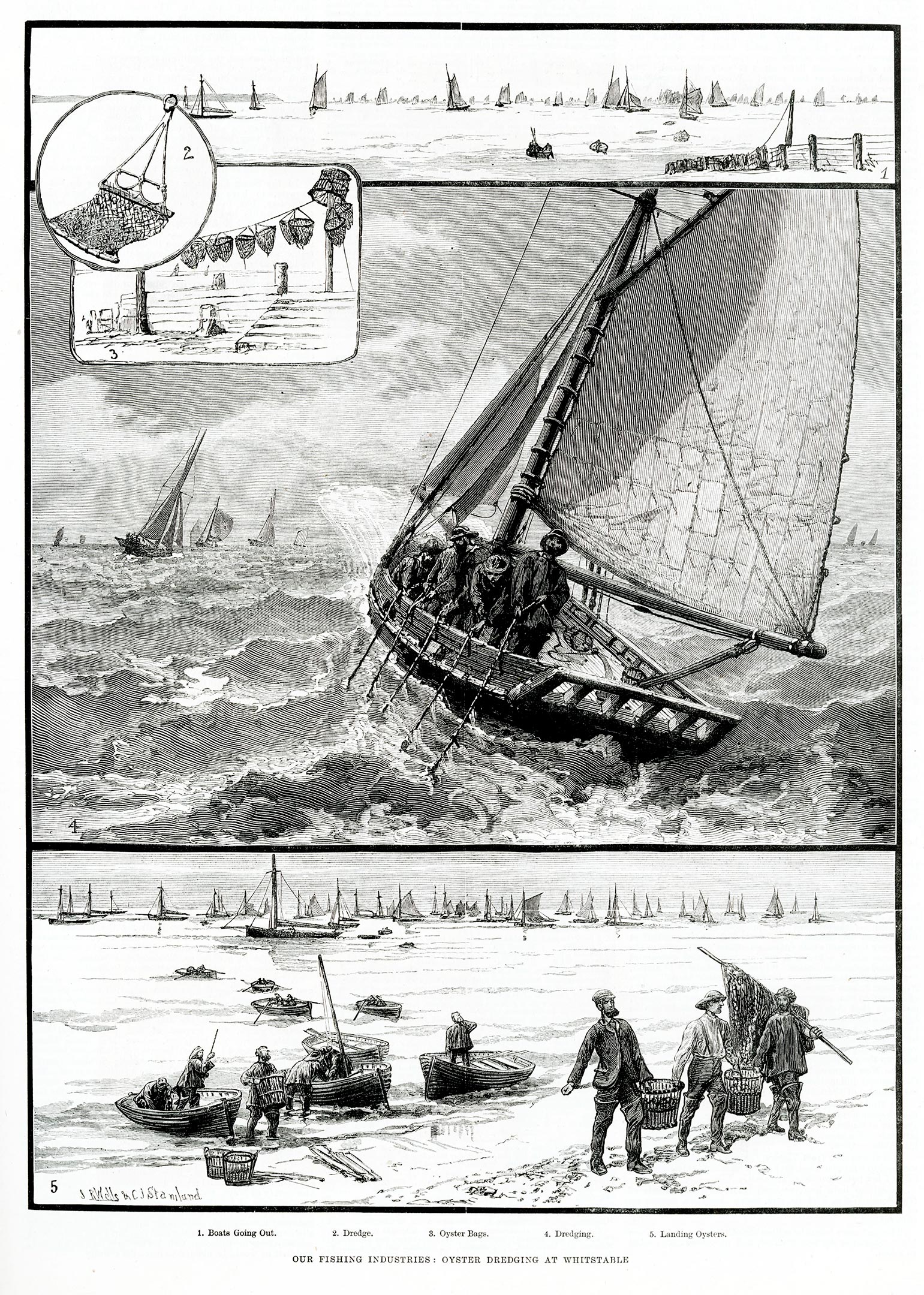 Whitstable-Kent-Oyster-Harvesting.jpg