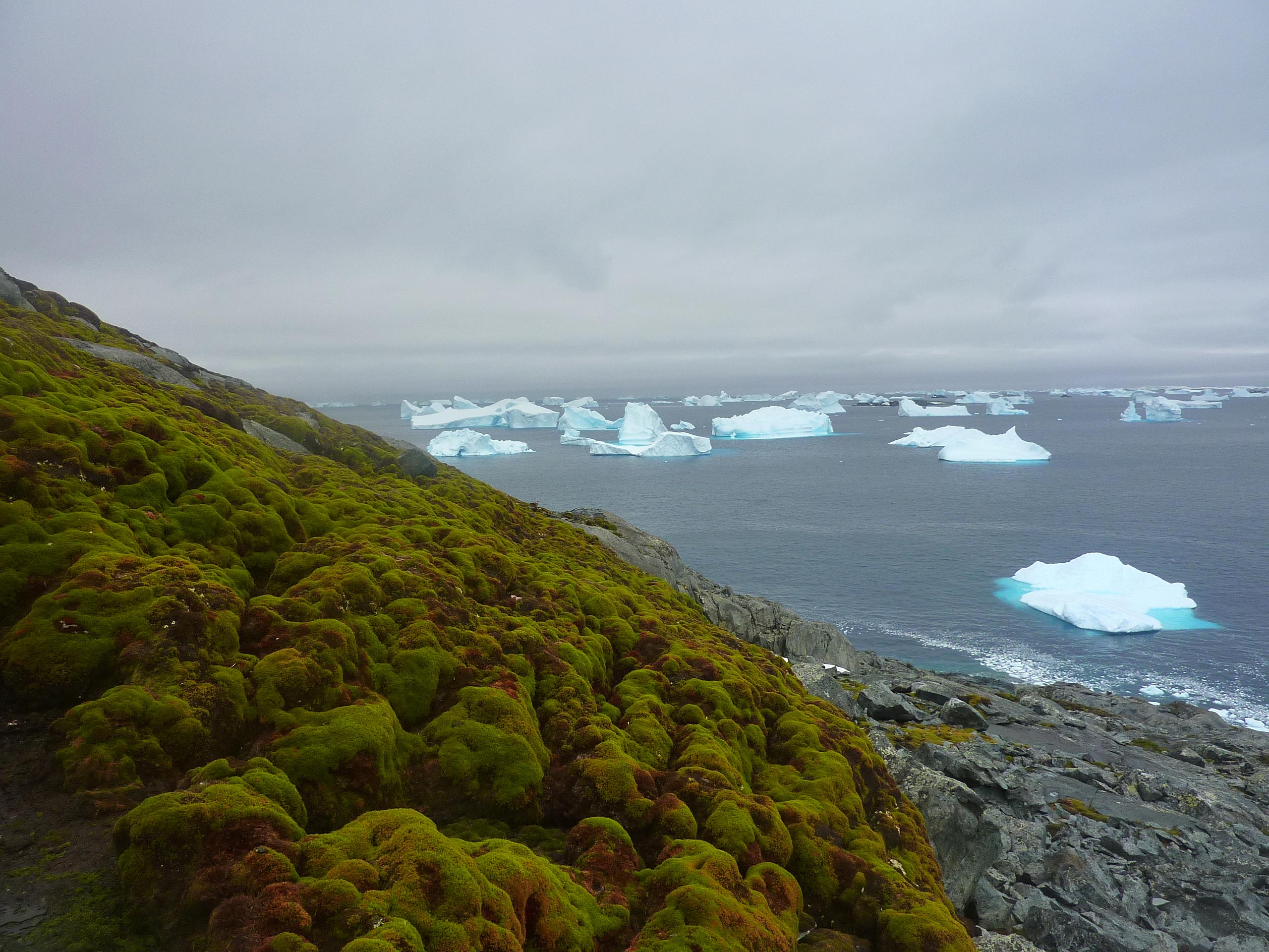 Green-Island.jpg