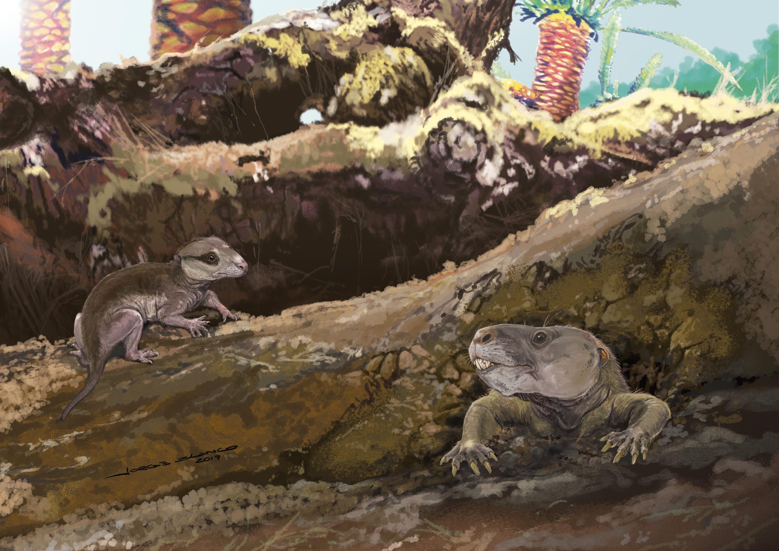 Riograndia-and-Brasilodon-scaled.jpg