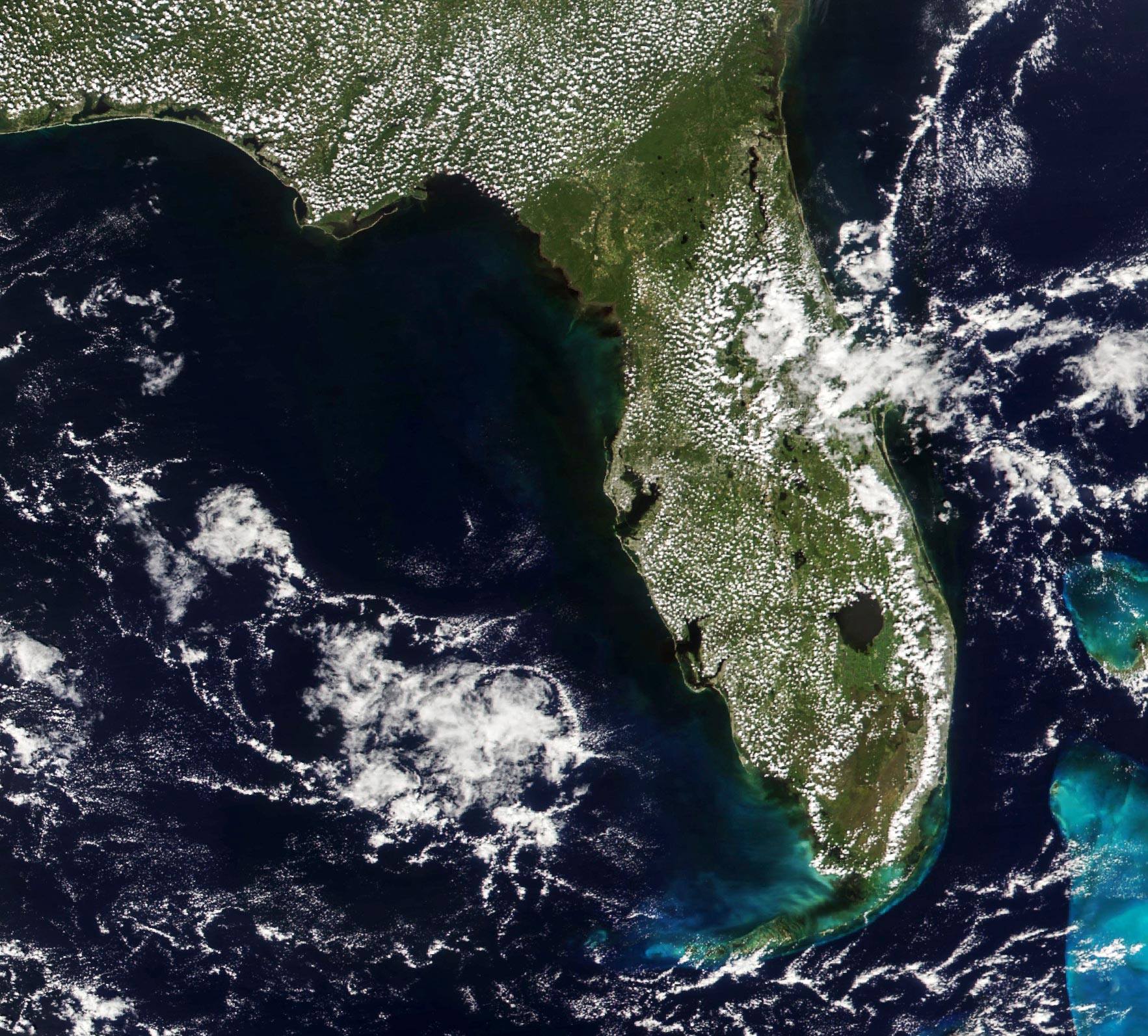 Florida-September-22-2024.jpg