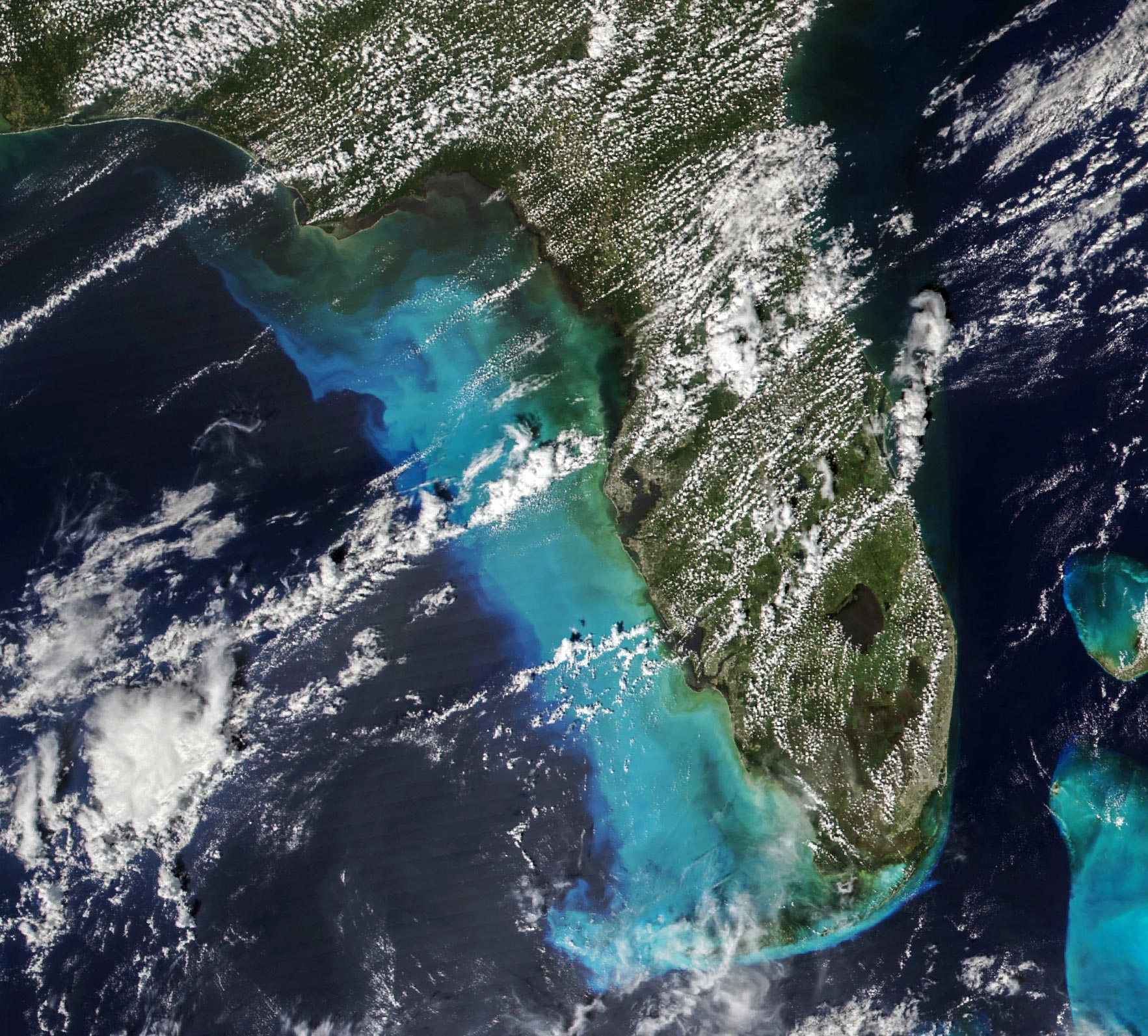 Florida-September-29-2024.jpg