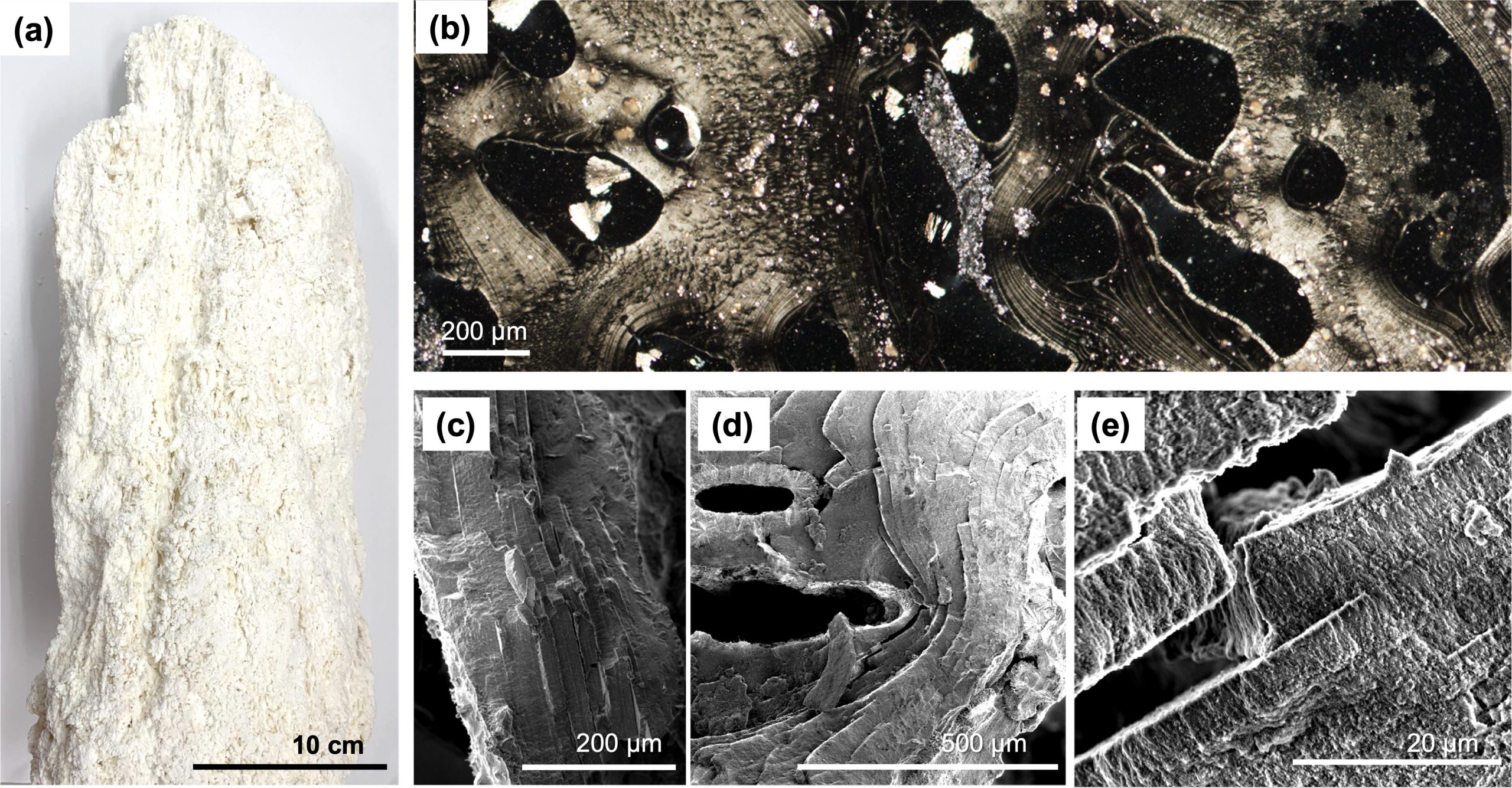 Hydrothermal-Vent-Precipitates-scaled.jpg