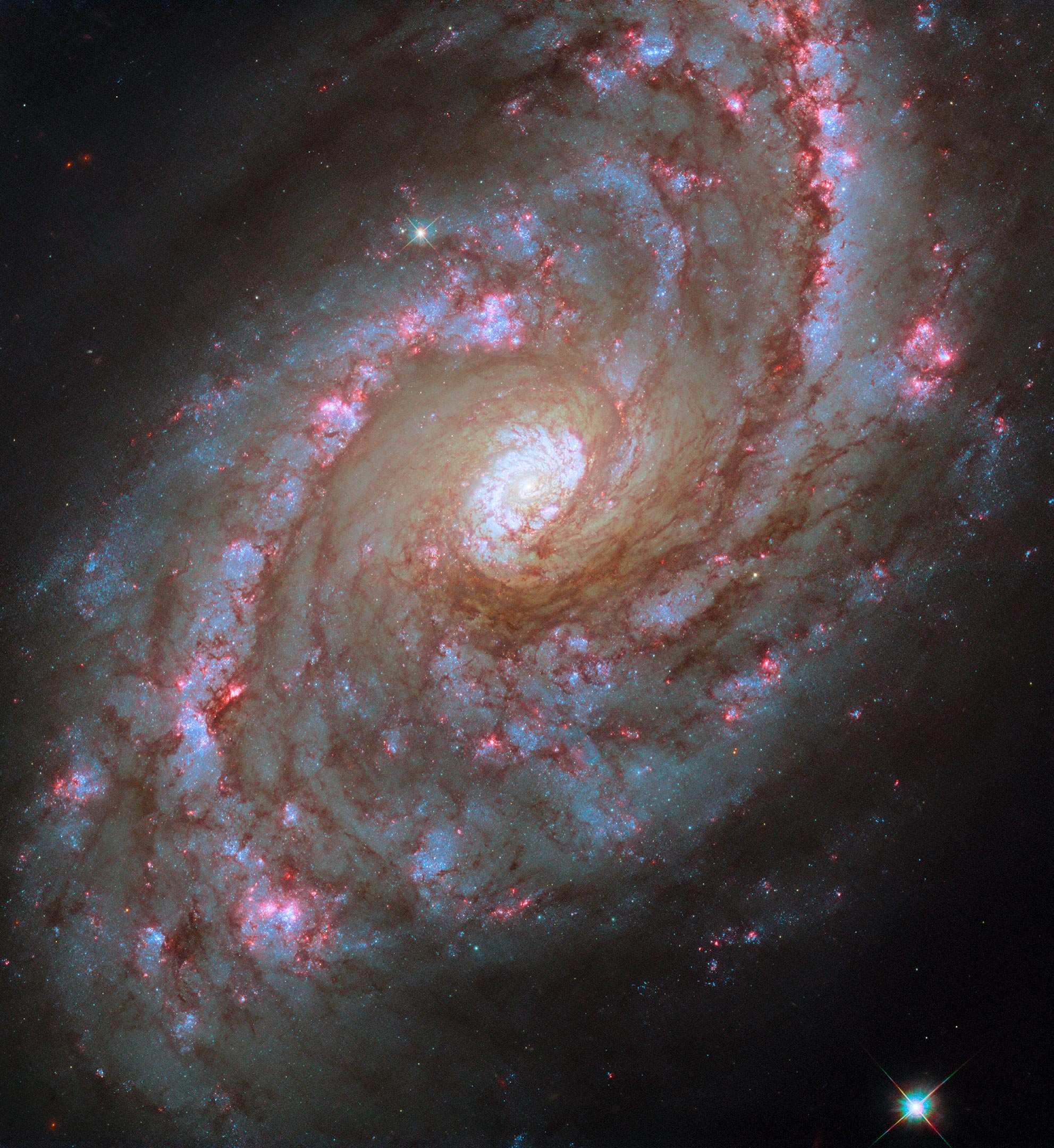 Spiral-Galaxy-NGC-5248.jpg