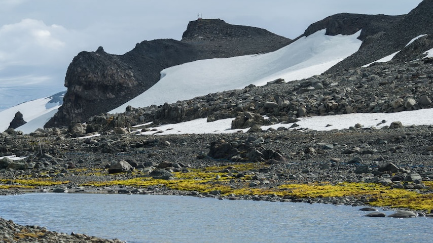 antartica_green_climate_change.jpg