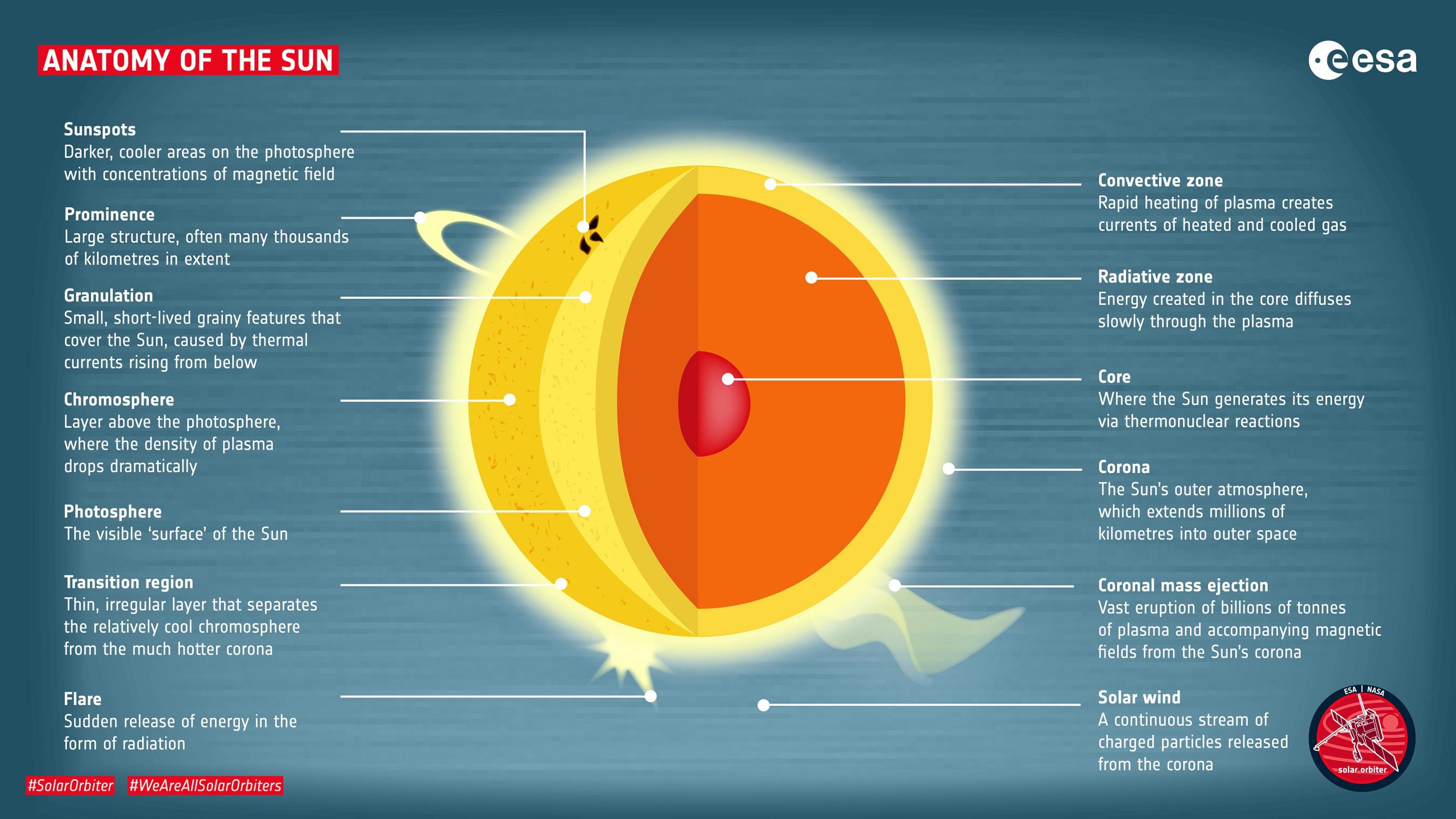 Anatomy-of-the-Sun-1-scaled.webp
