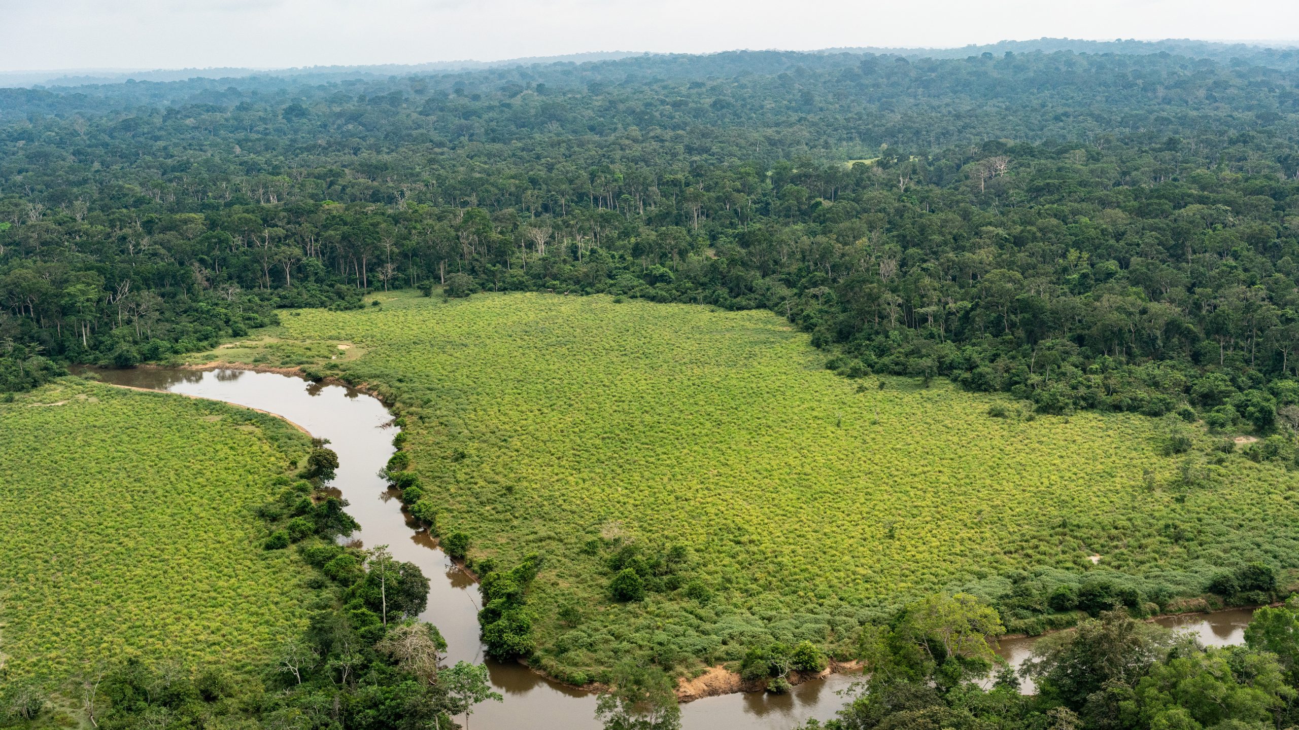 Aerial-View-of-Congo-Rainforest-scaled.jpg