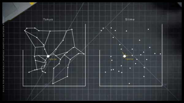 9fa28c5d122c45c5b418770b1527f168.gif