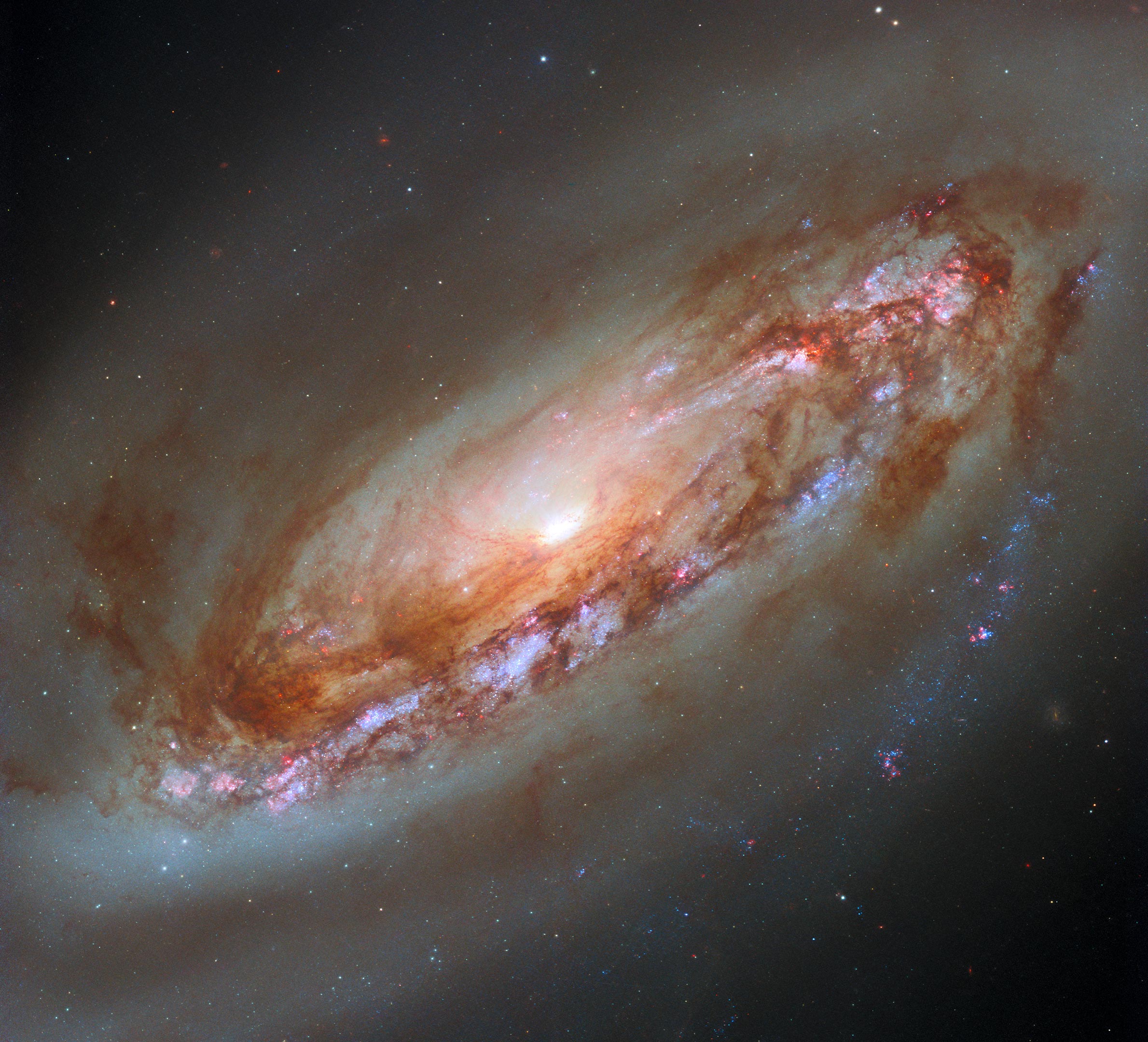 Messier-90-M90-NGC-4569.jpg
