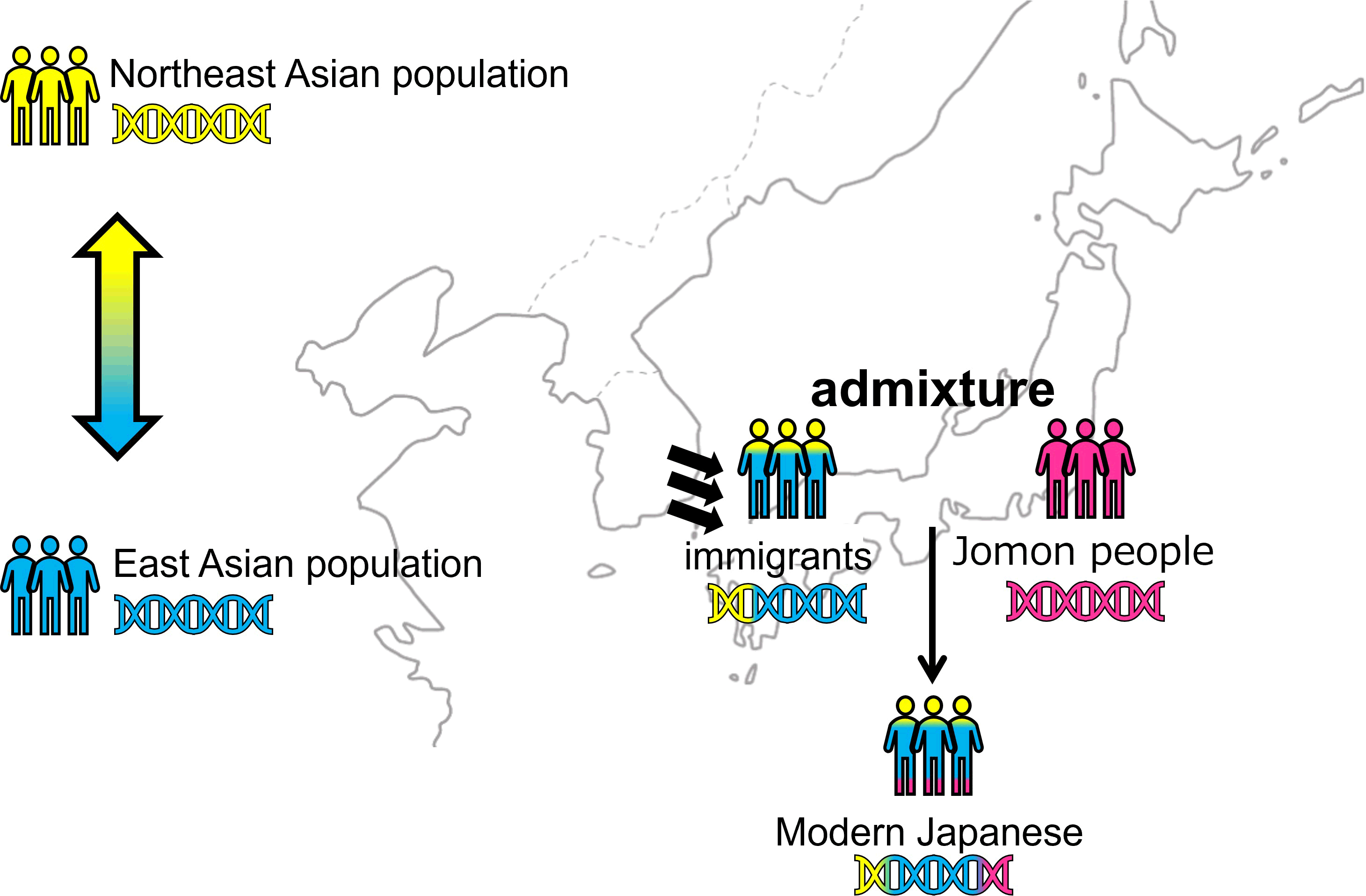 Roots-of-Immigration-Japanese-Archipelago.png