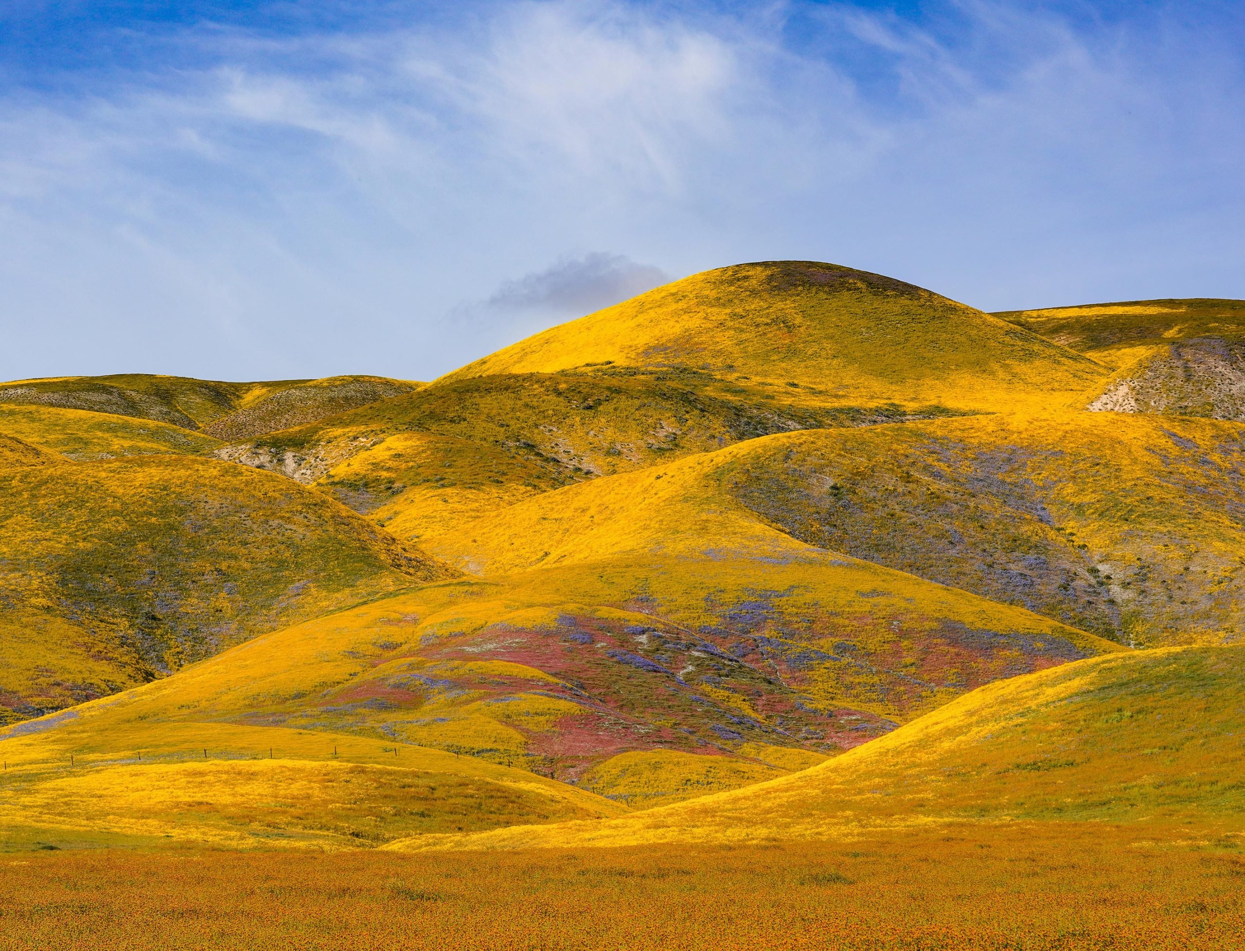 Carrizo-Plain-Grassland-scaled.jpg
