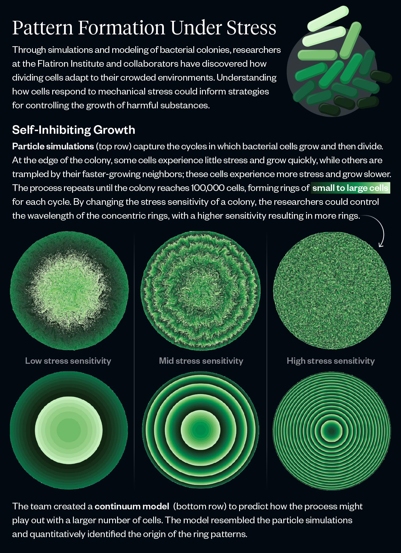 Cell-Collectives-Infographic.jpg
