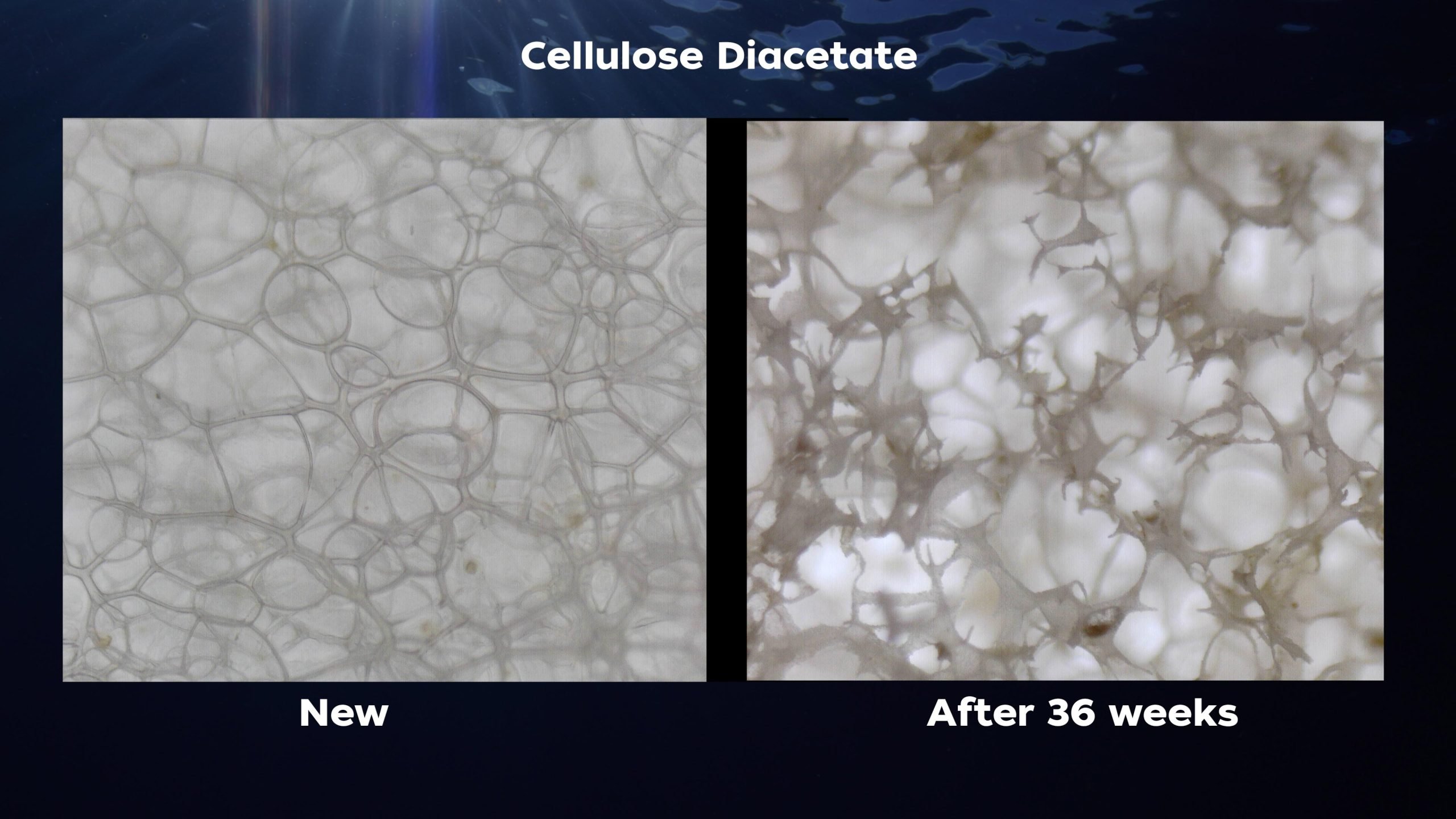 Cellulose-Diacetate-scaled.jpg