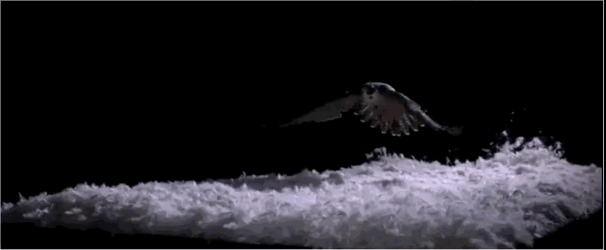 ad73064b02ea40158ae0196bfb023921.gif
