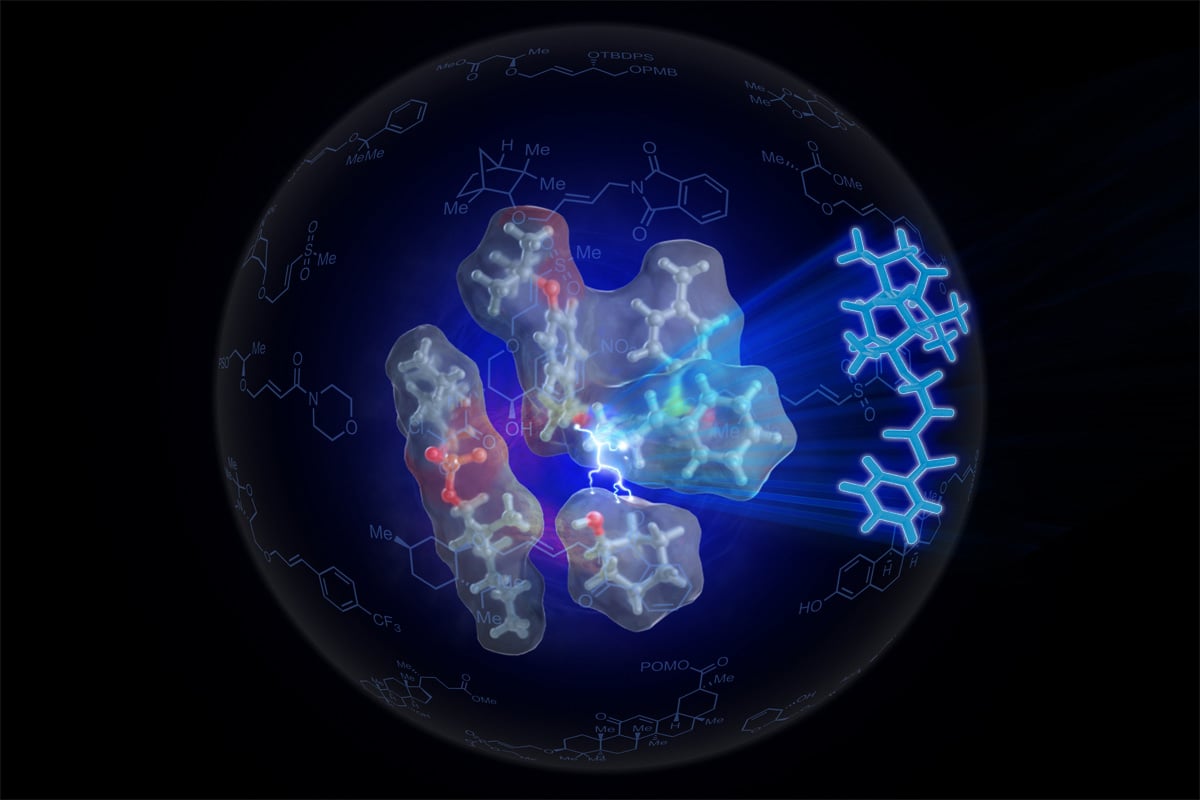 Sven-SOX-Catalyst.jpg