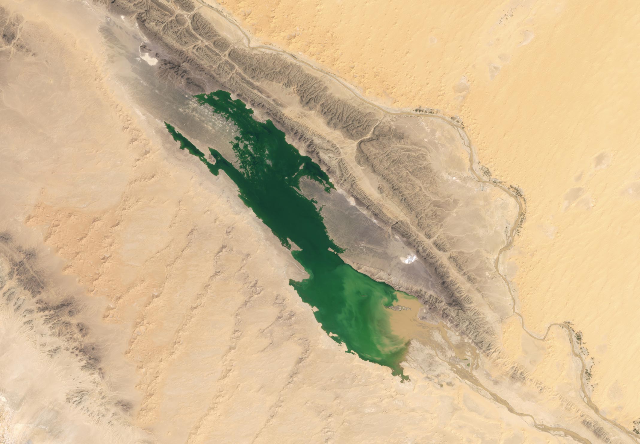 Sebkha-el-Melah-Lake-Algeria-September-2024.jpg