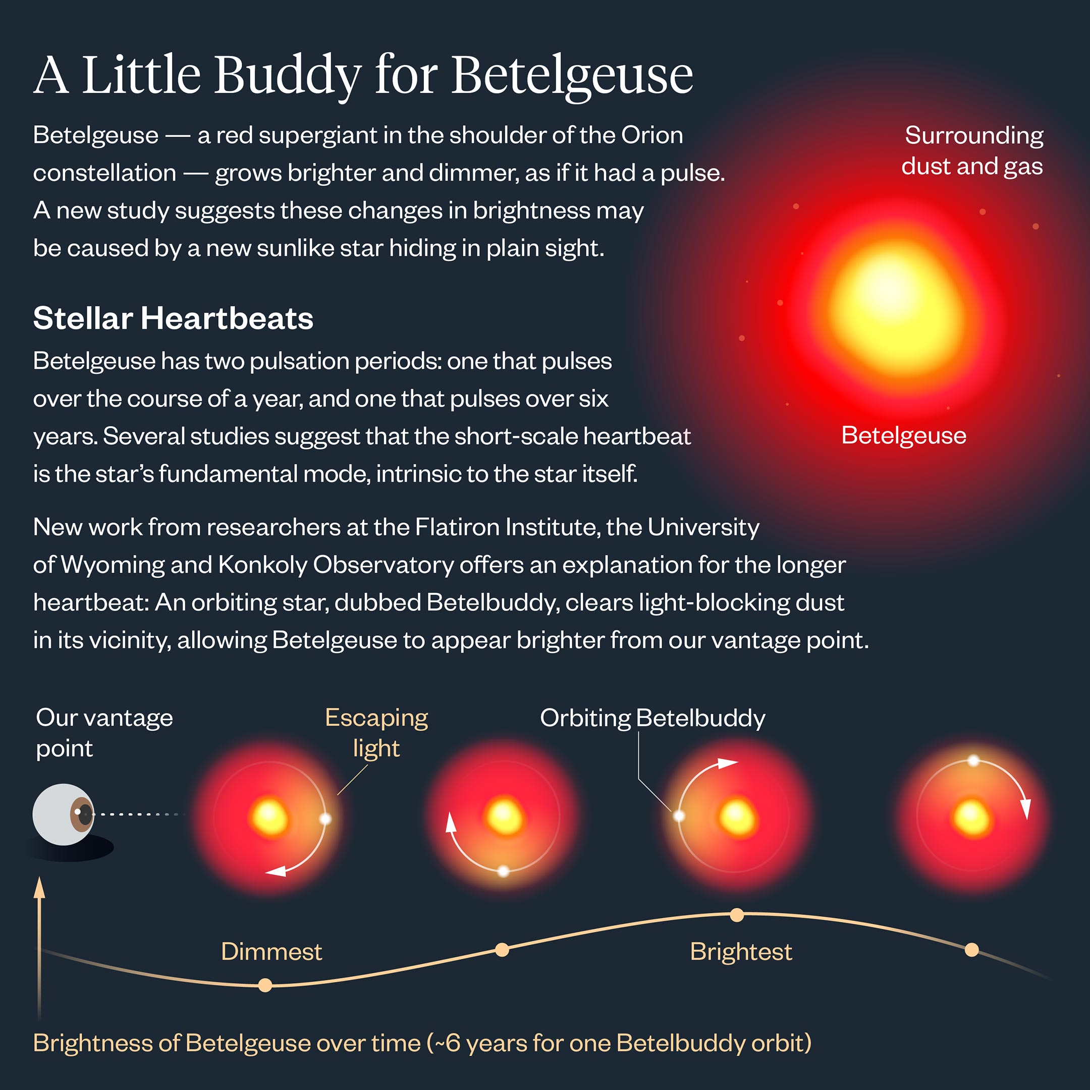 Betelbuddy-Infographic.jpg
