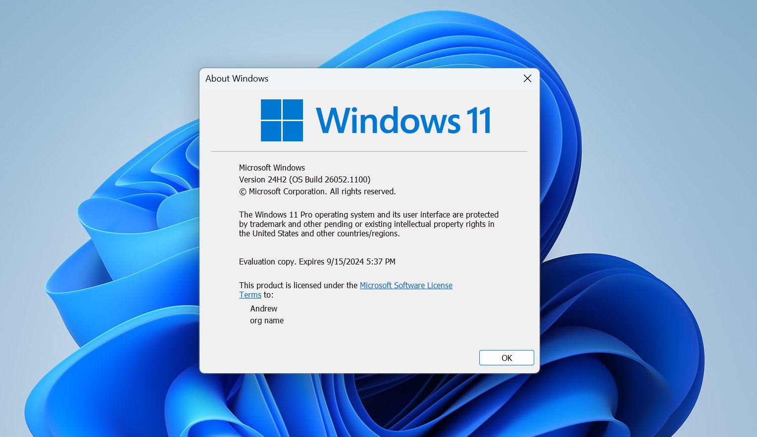win11-24h2.jpg