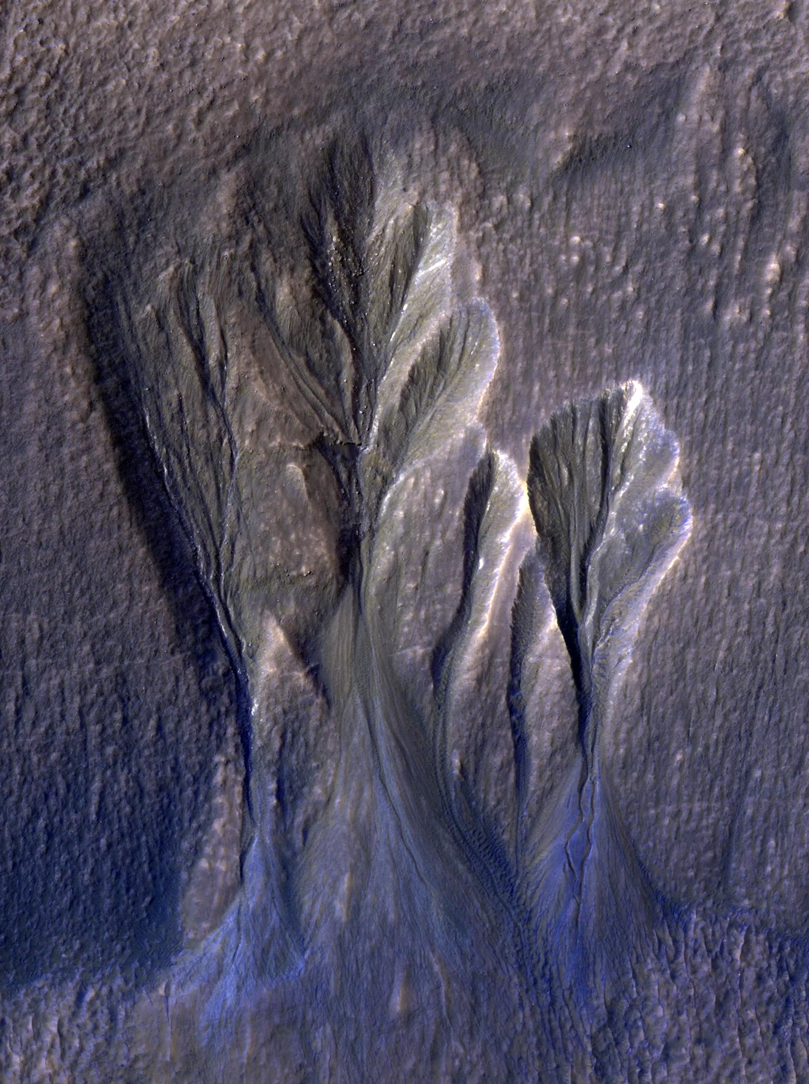 Mars-Terra-Sirenum.jpg