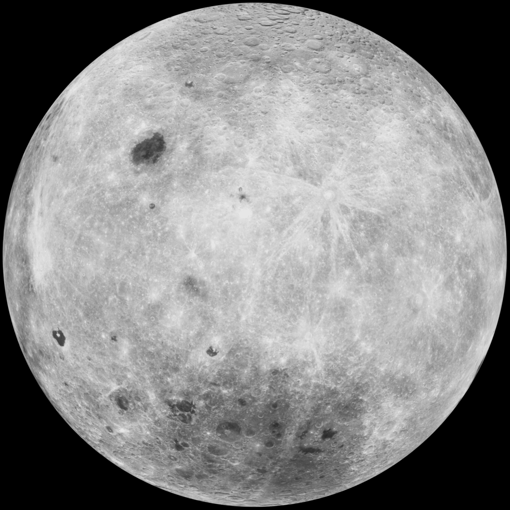 moon_back-view_clementine_cropped.png