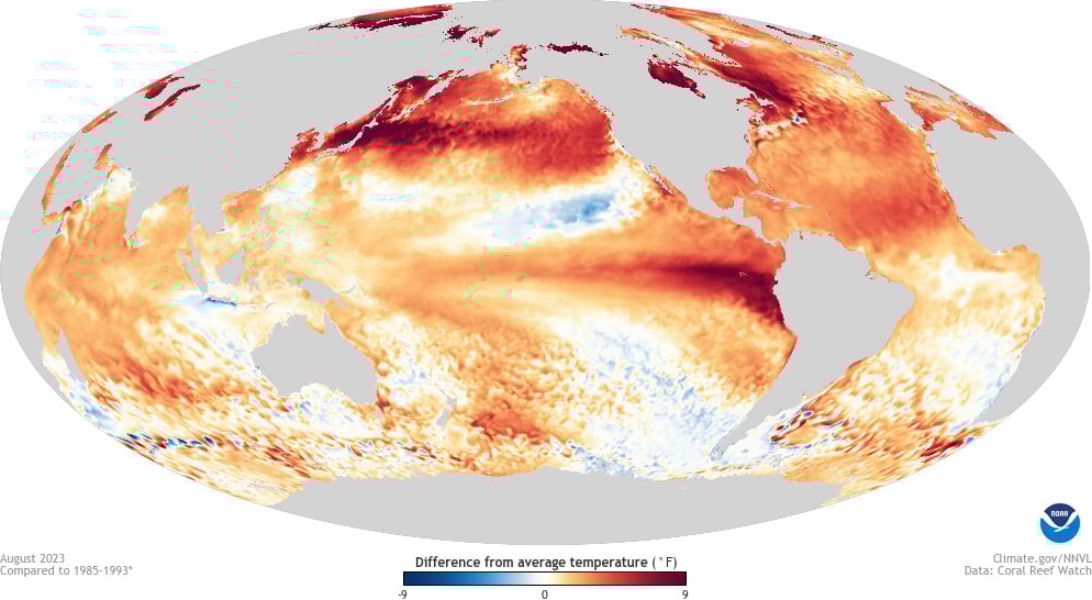 El-Nino-in-August-2023.jpg