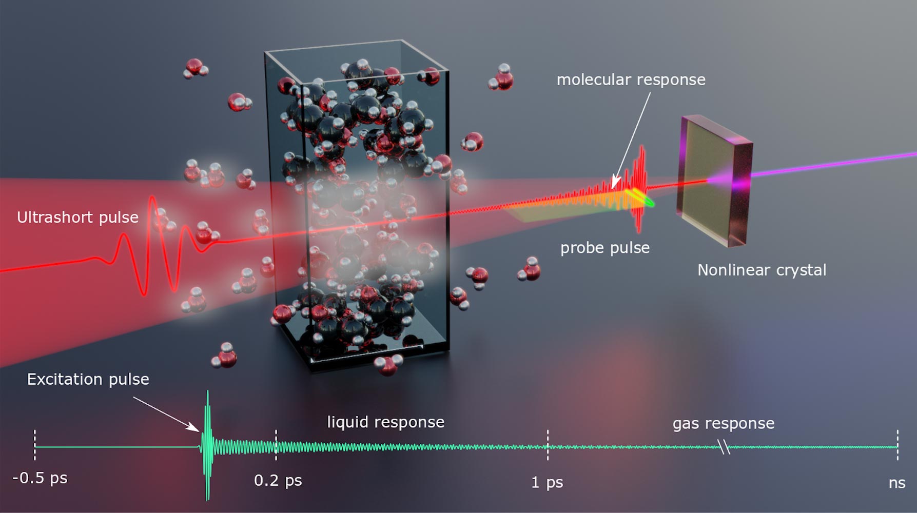 Femtosecond-Fieldoscopy-Accesses-Molecules-Fingerprints-at-Near-Infrared-Spectral-Range.jpg