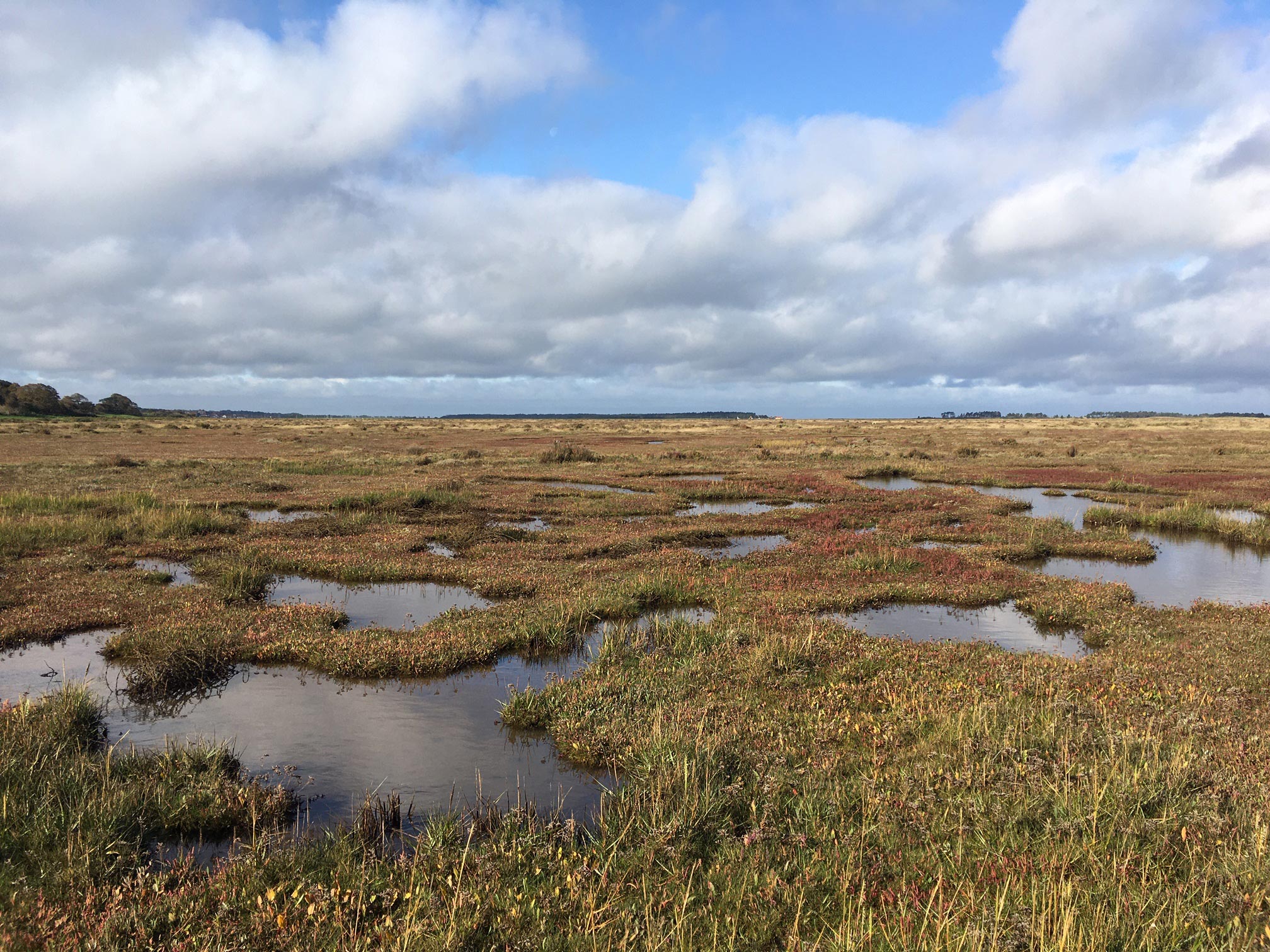 Saltmarsh-in-North-Norfolk.jpg