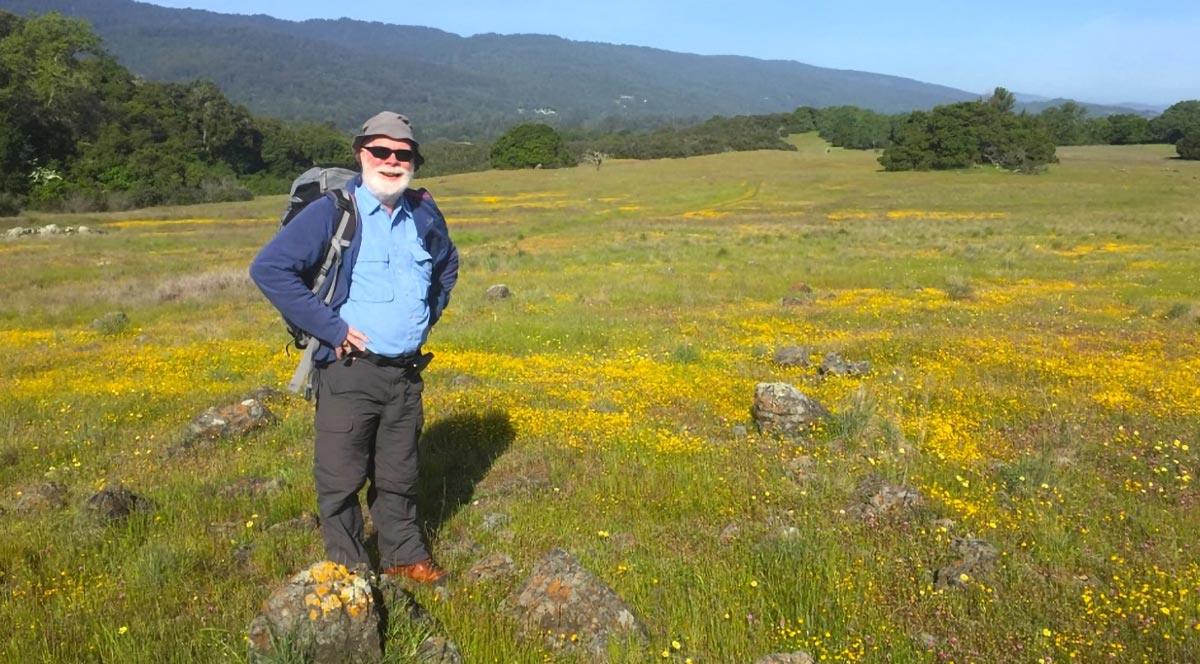 Grasslands-in-California-Floristic-Province.jpg